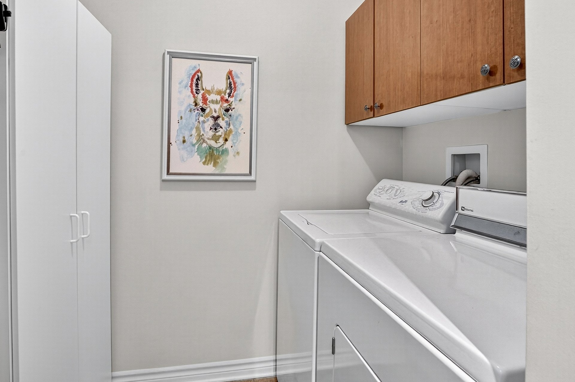 Photo - Salle de lavage