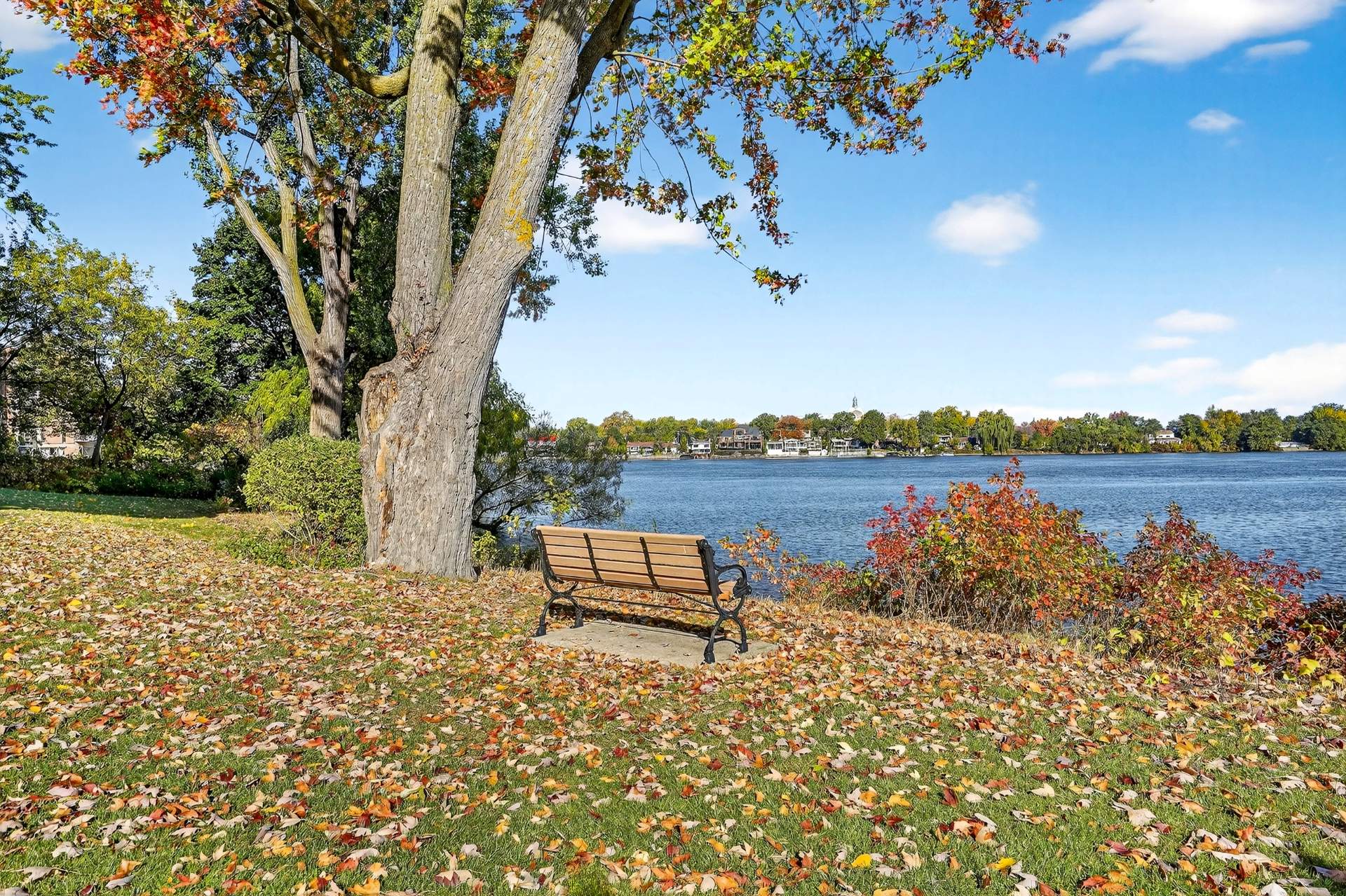 Photo - Bord de l'eau