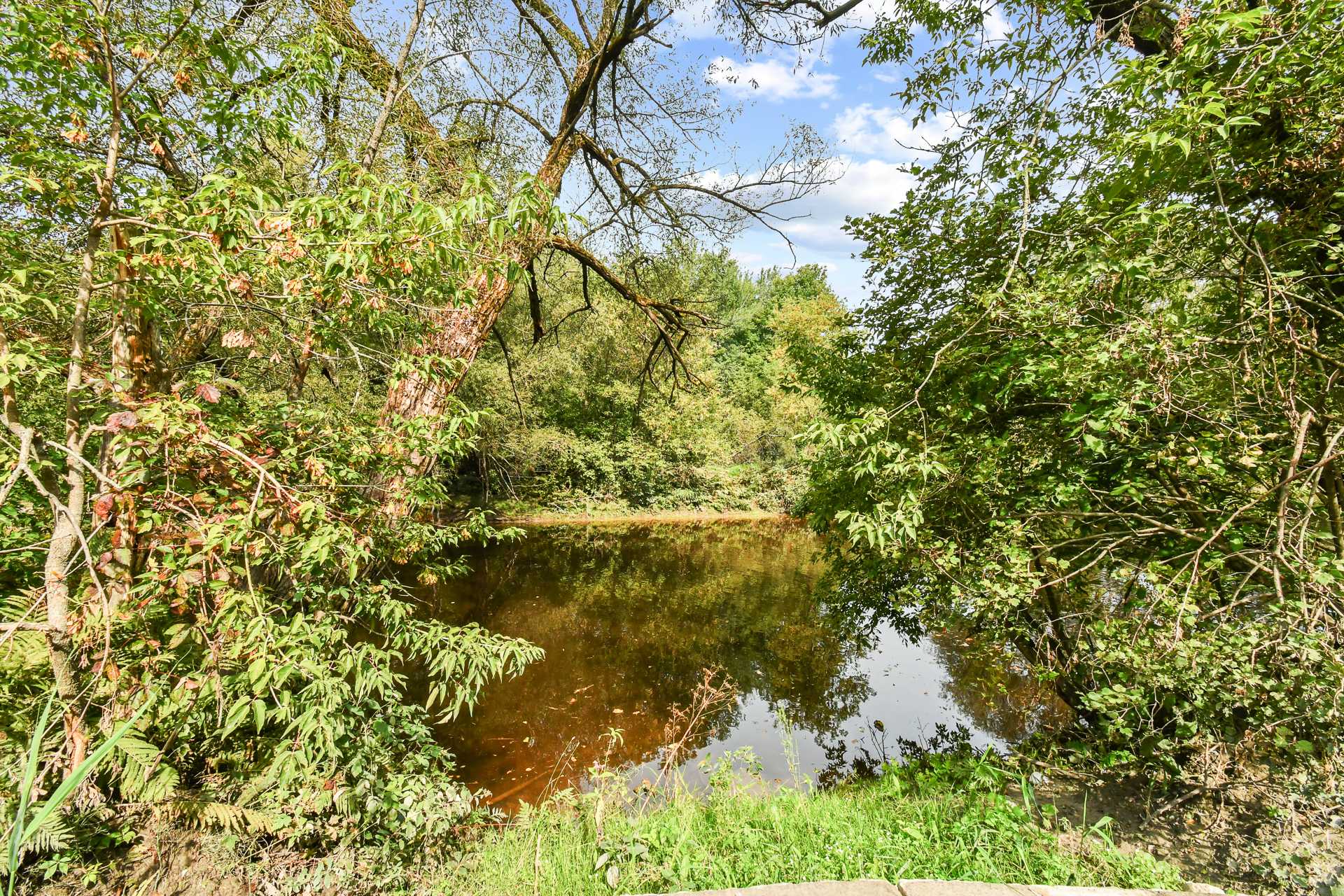 Accès au plan d'eau