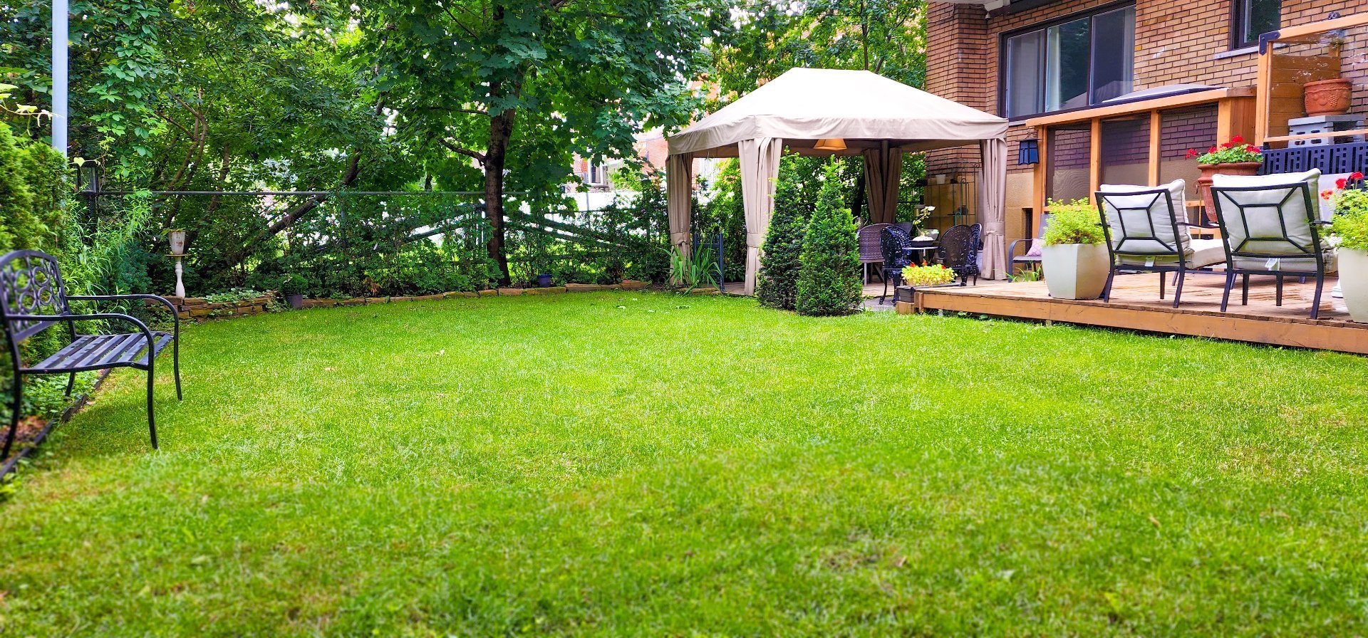 Photo - Backyard