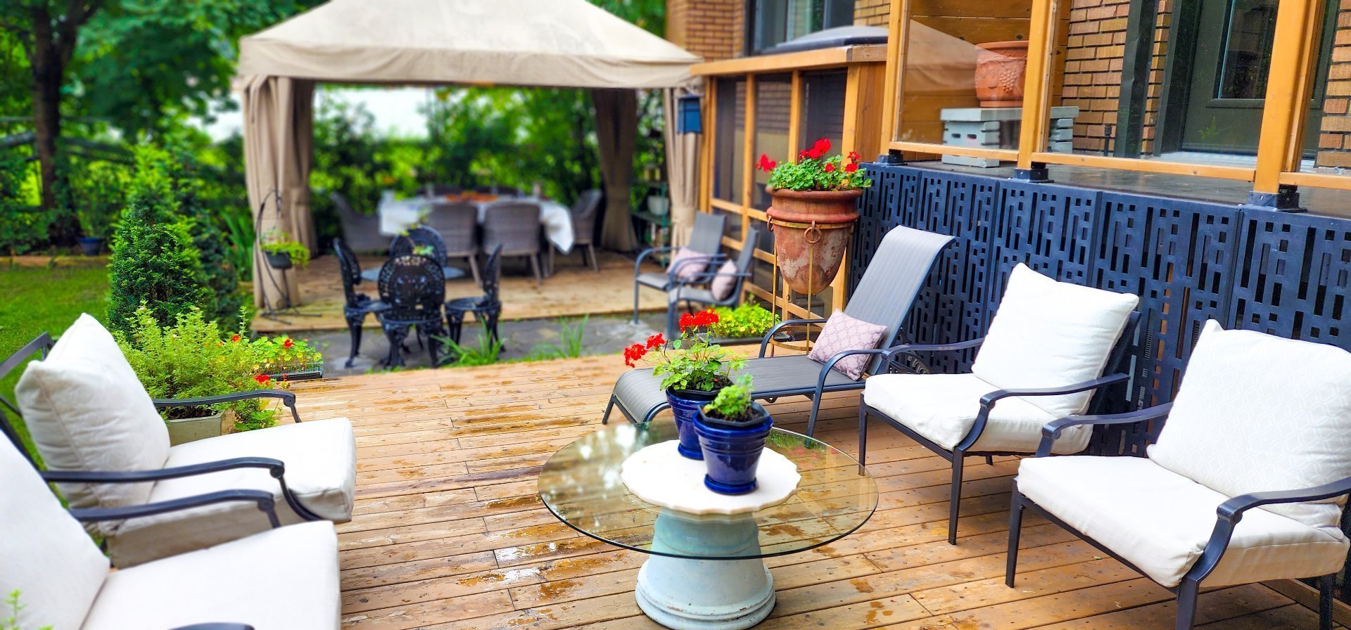 Photo - Backyard