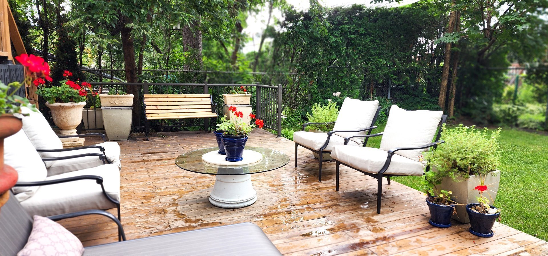 Photo - Backyard