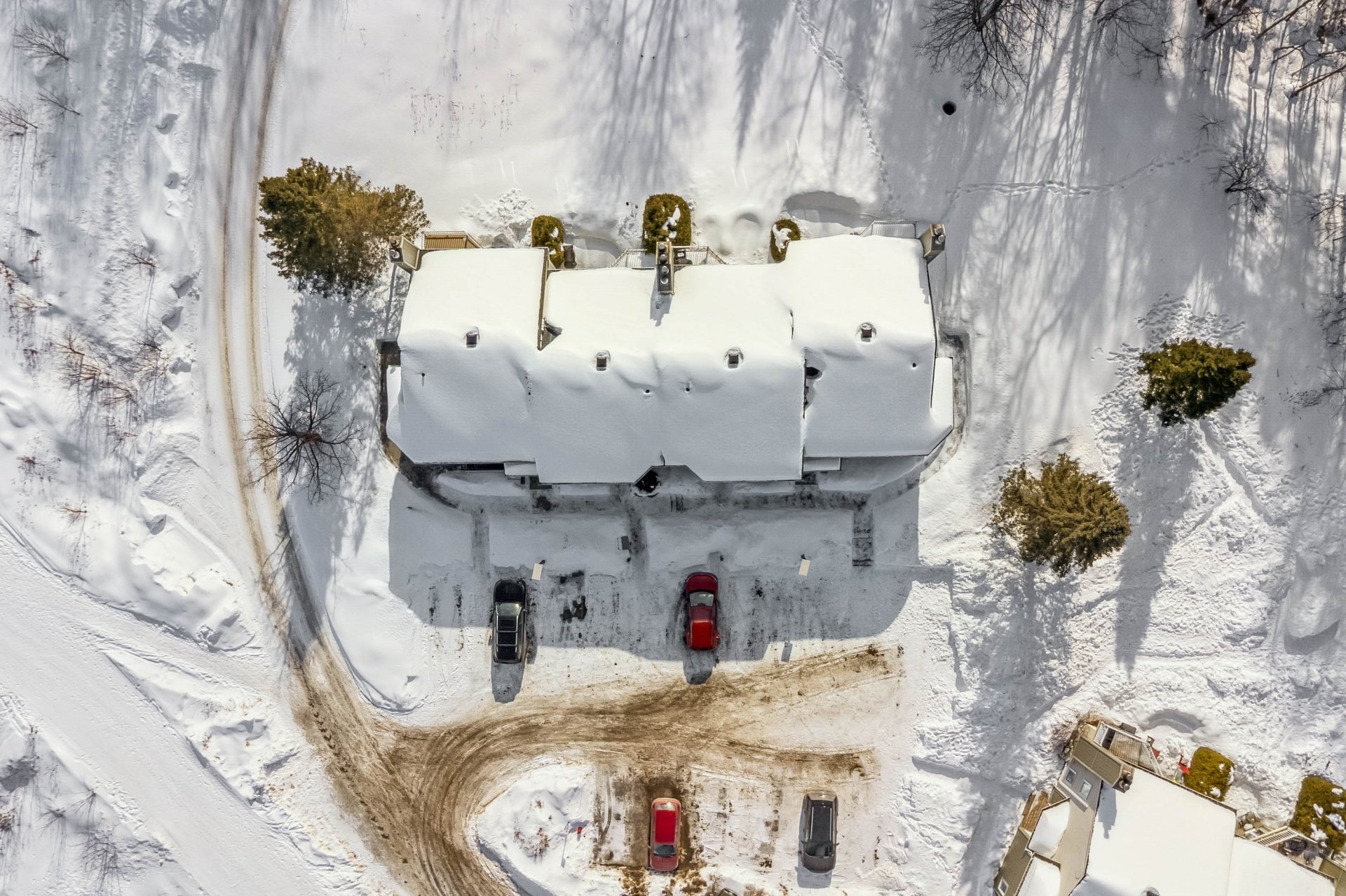 Photo - Aerial photo