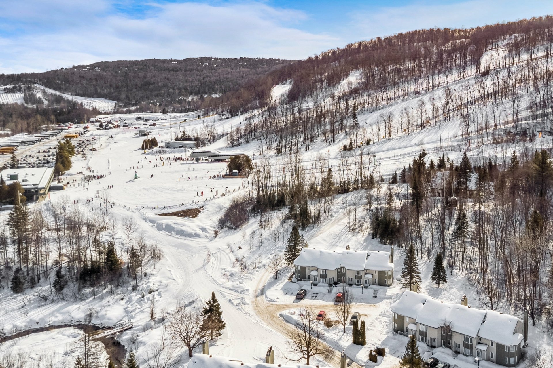 Photo - Aerial photo