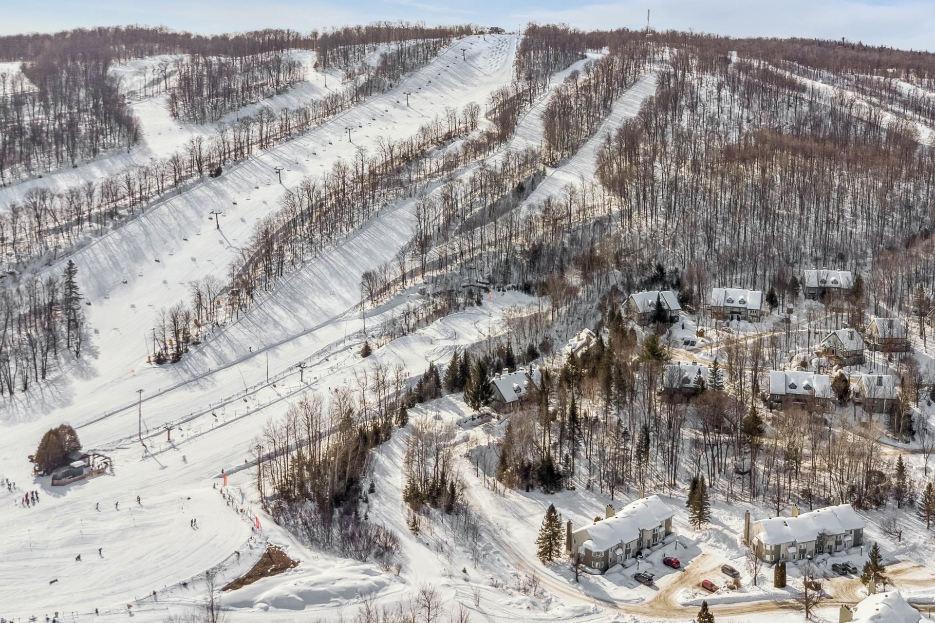 Photo - Aerial photo