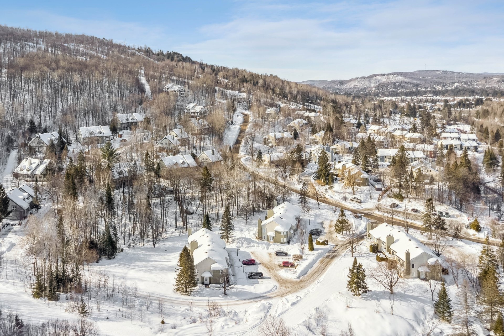 Photo - Aerial photo