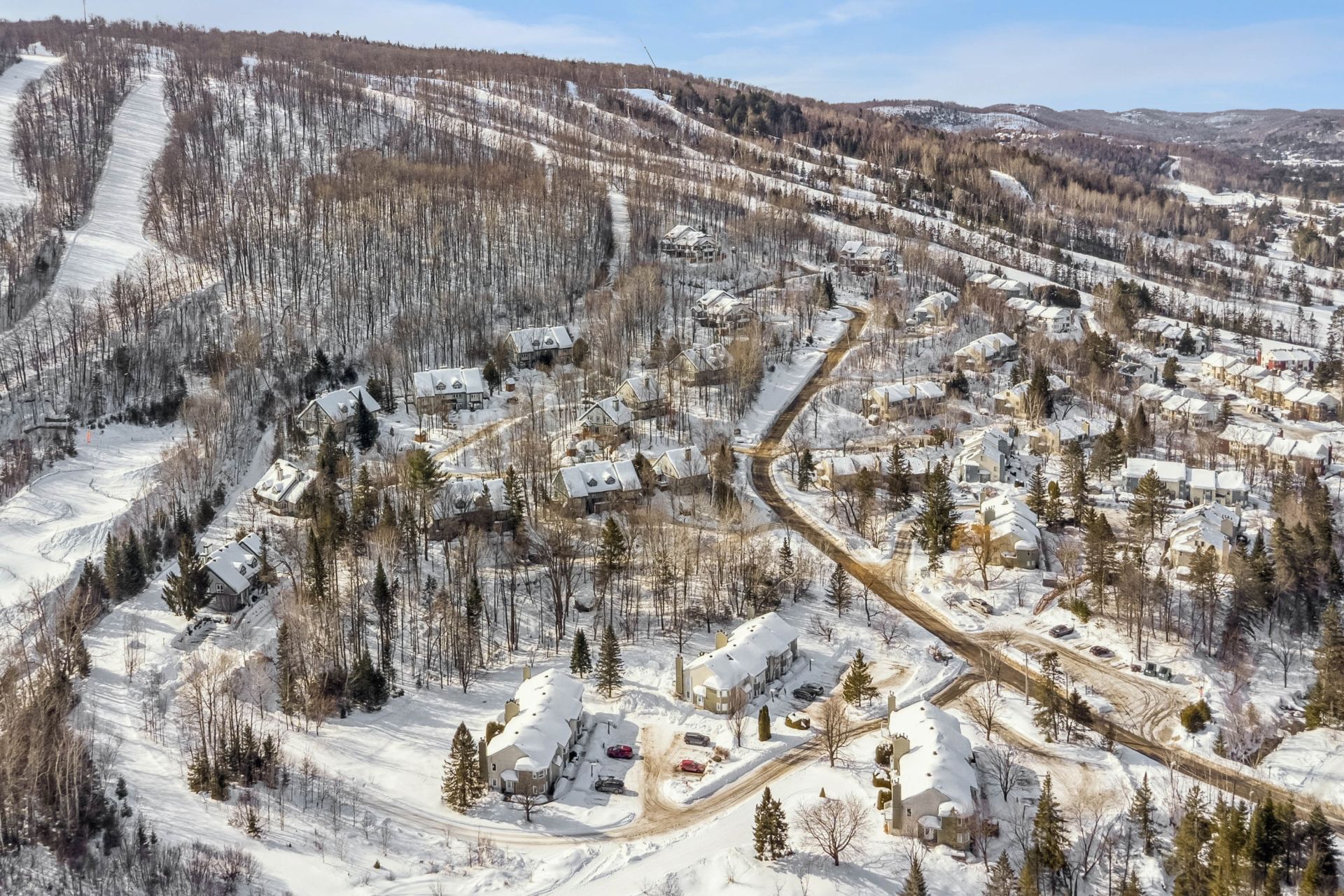 Photo - Aerial photo