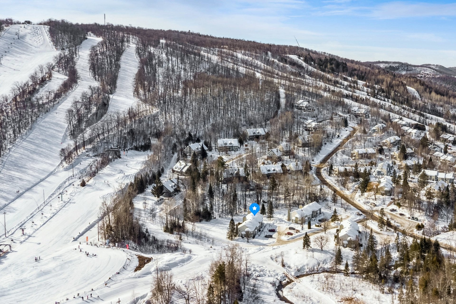 Photo - Aerial photo