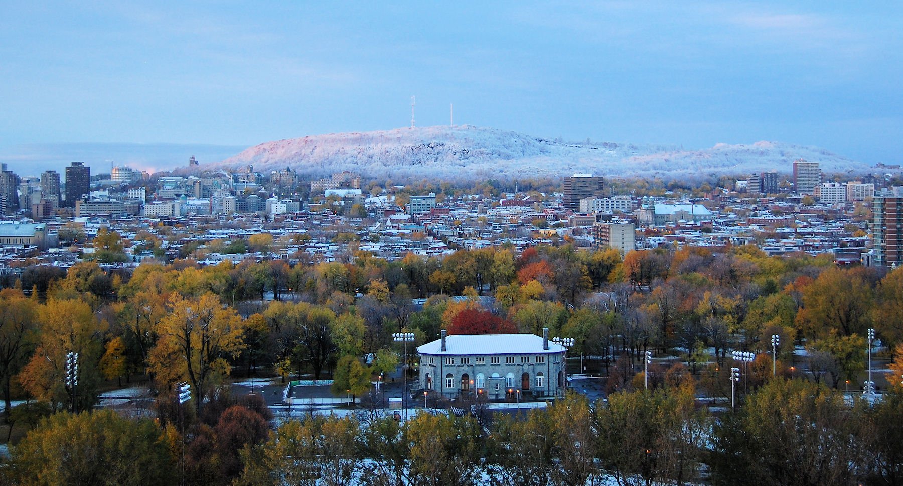 Vue