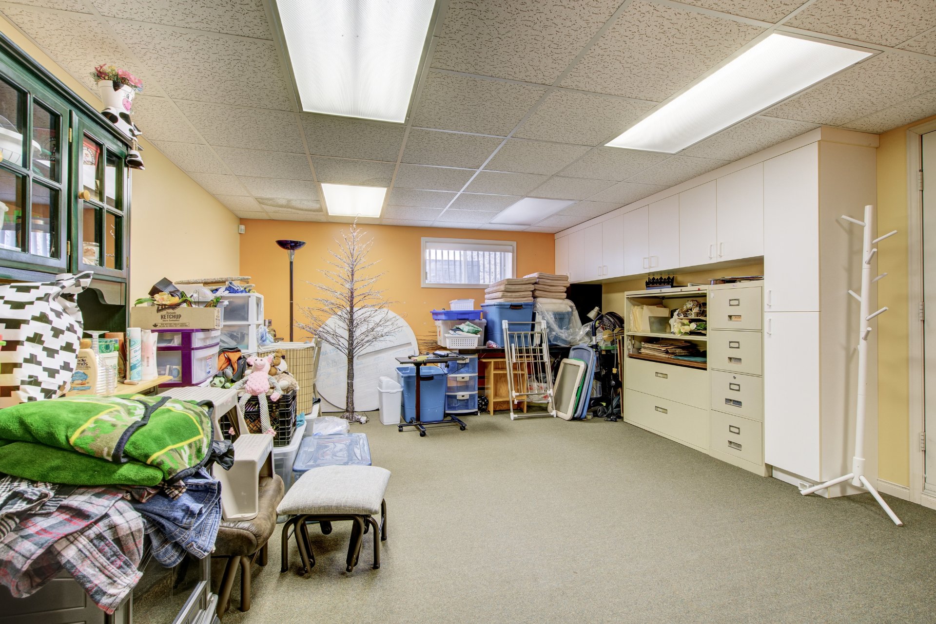 Photo - Basement