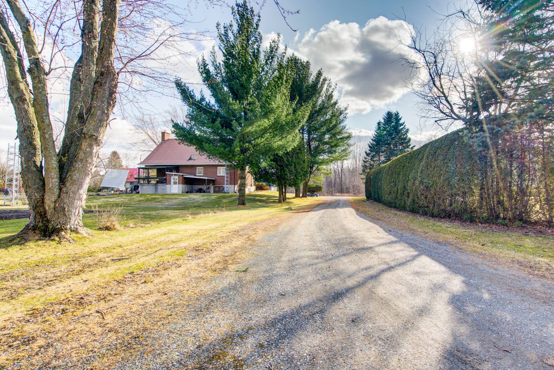 Photo - Backyard