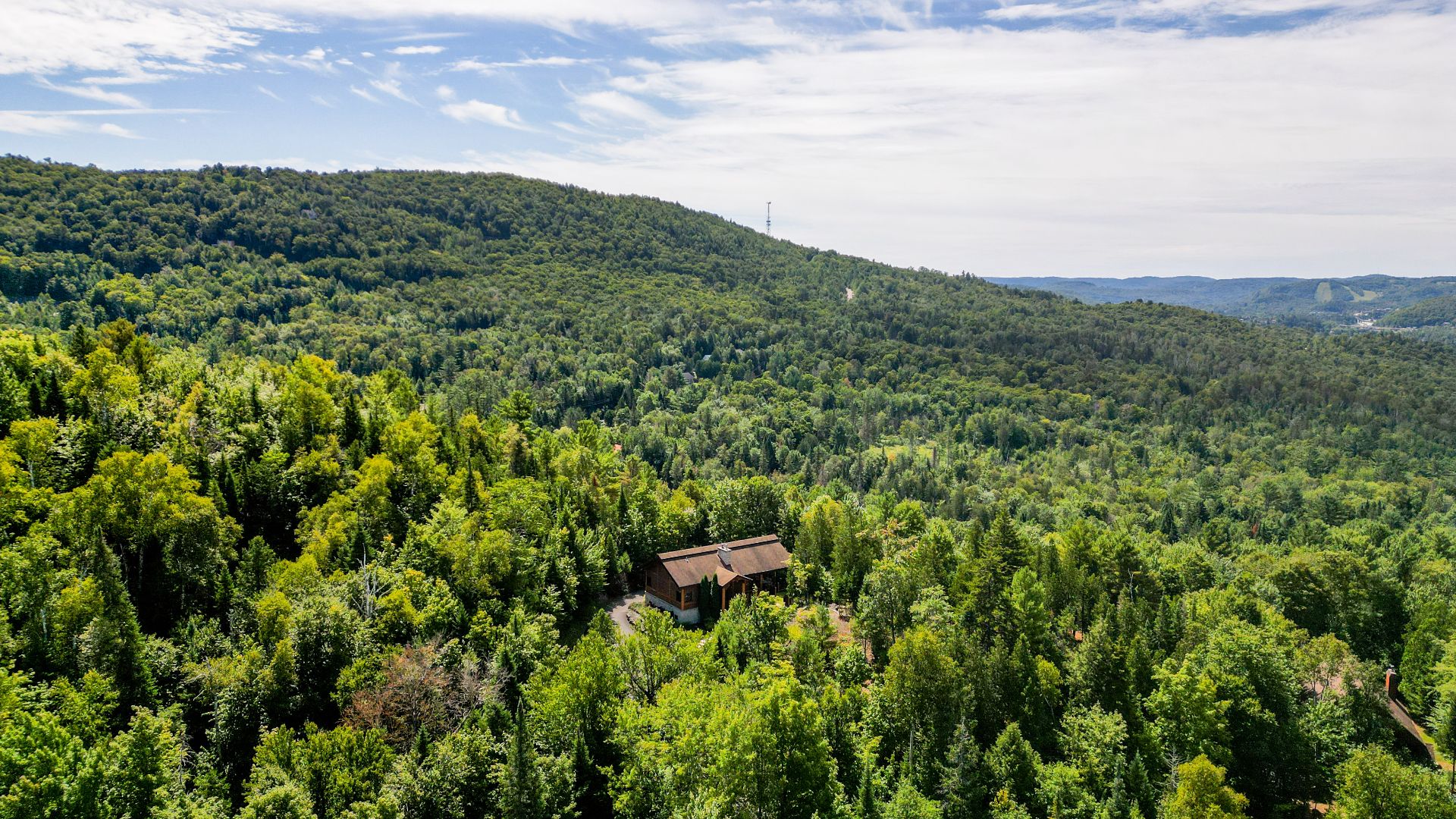 Photo - Overall View