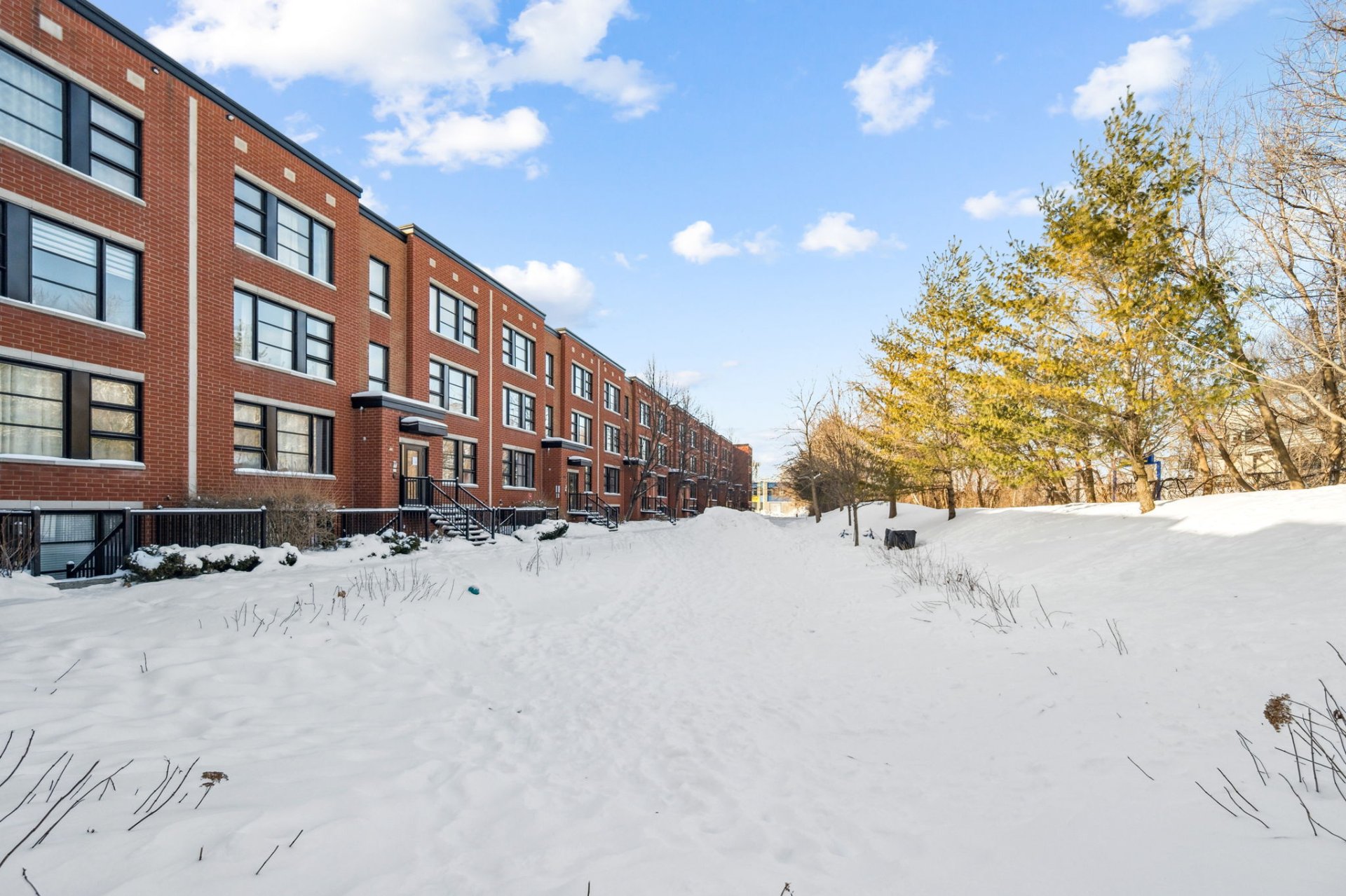 Photo - Face arrière