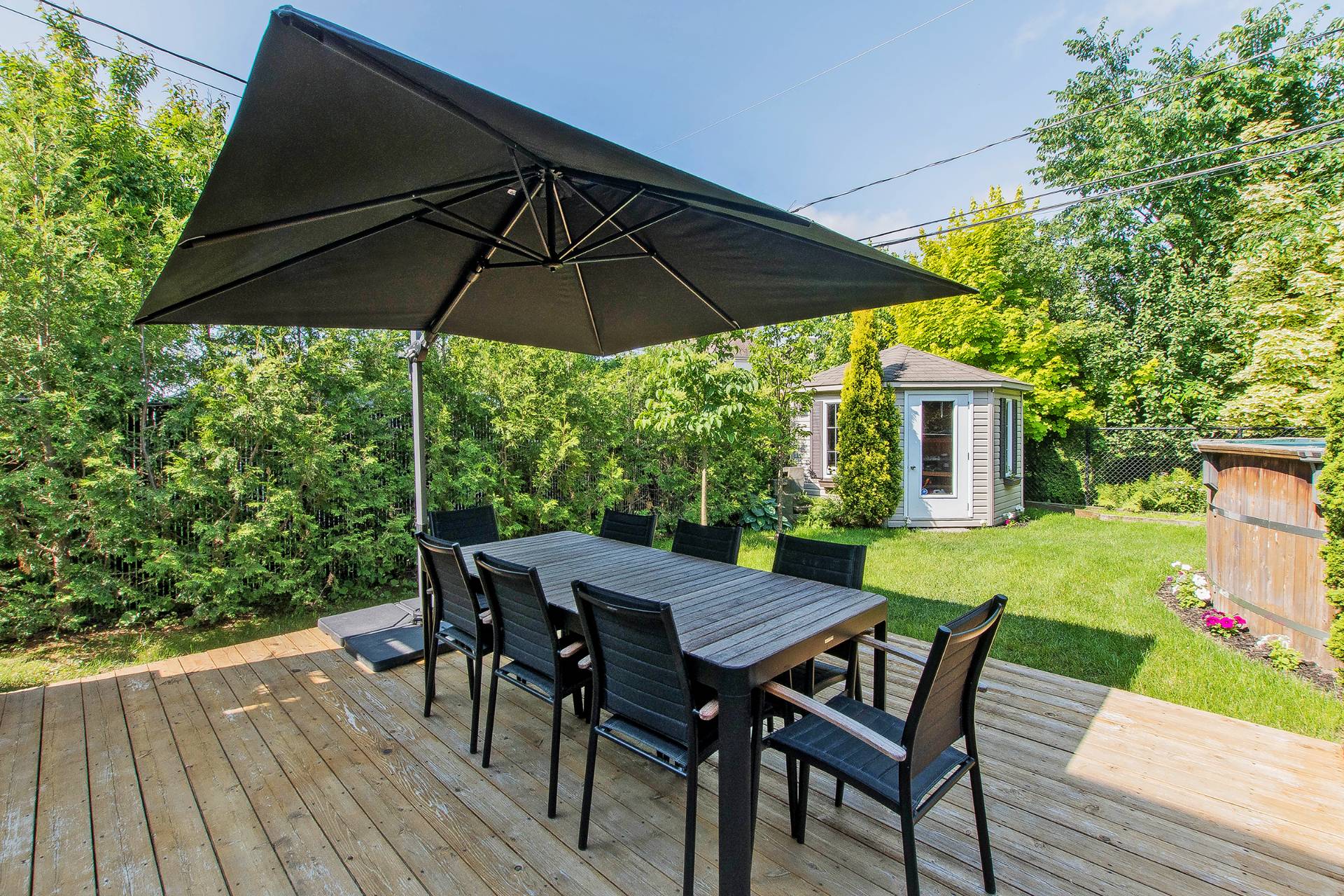 Backyard