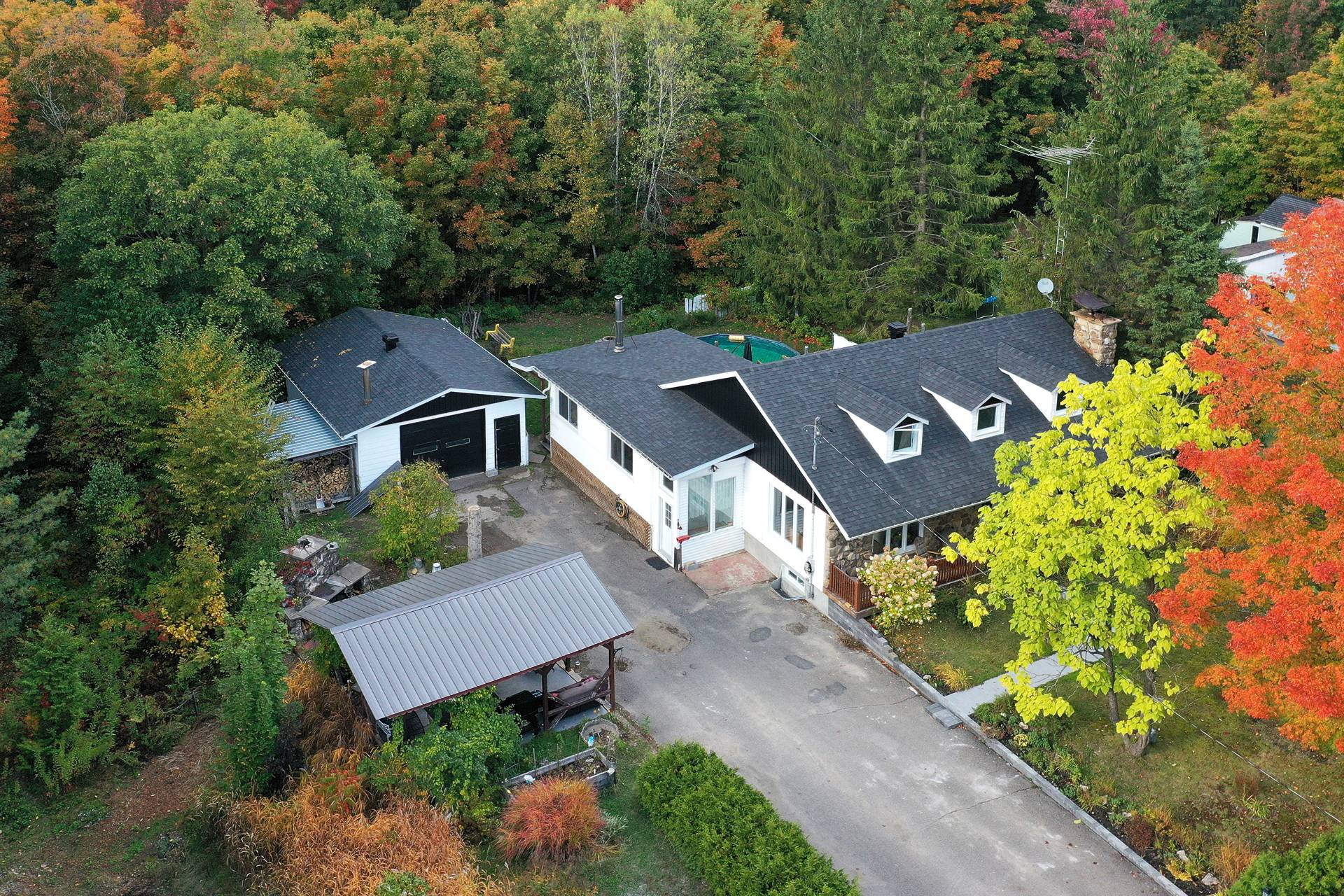 Overall View