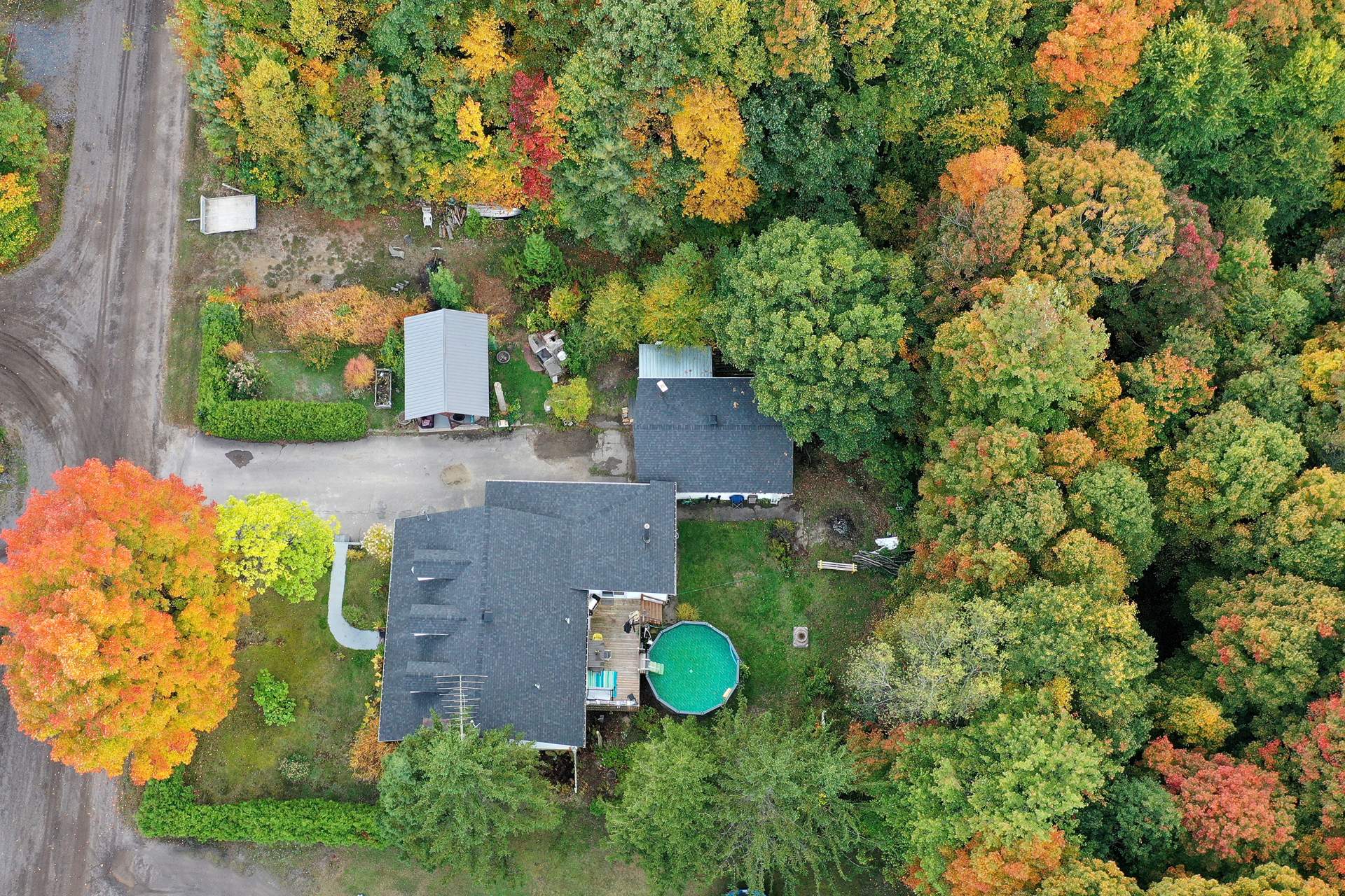 Overall View