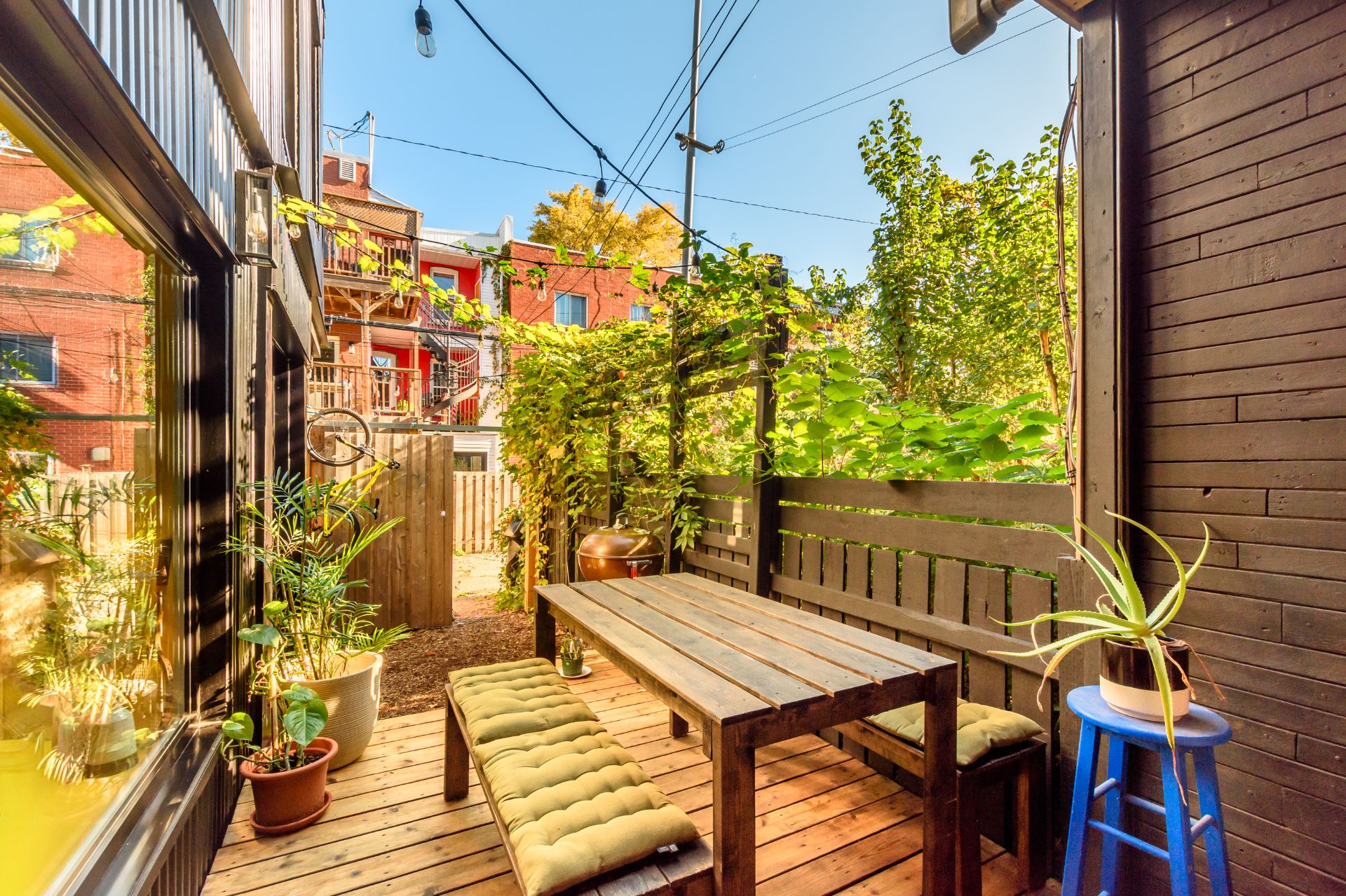 Backyard