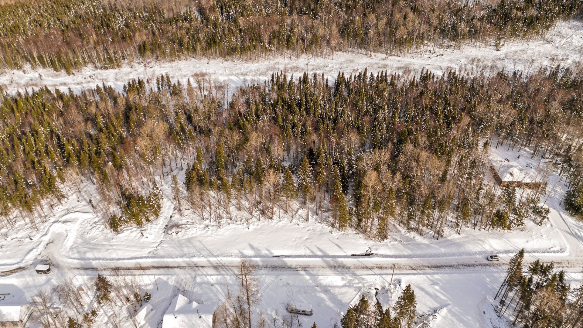 Overall View