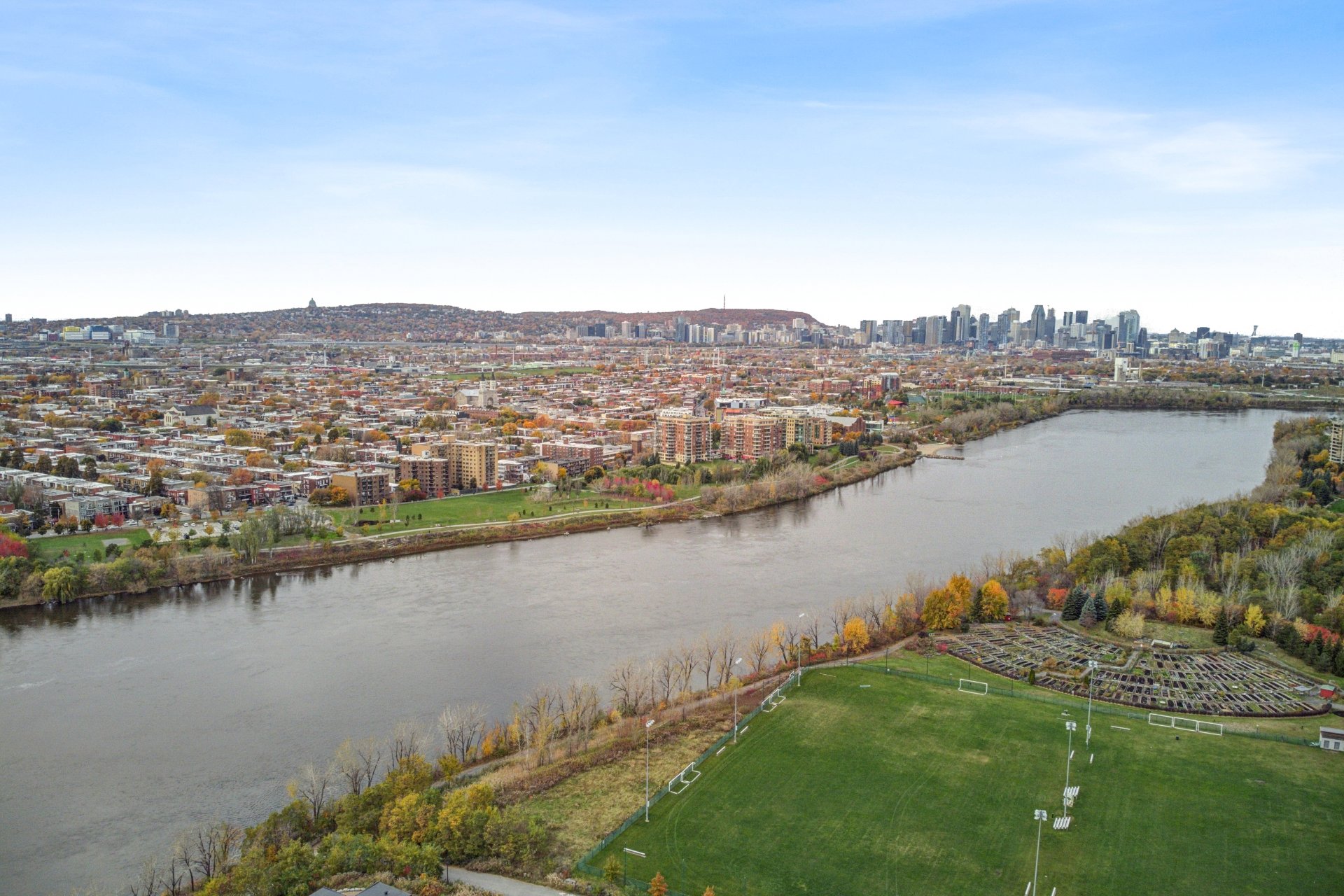 Vue