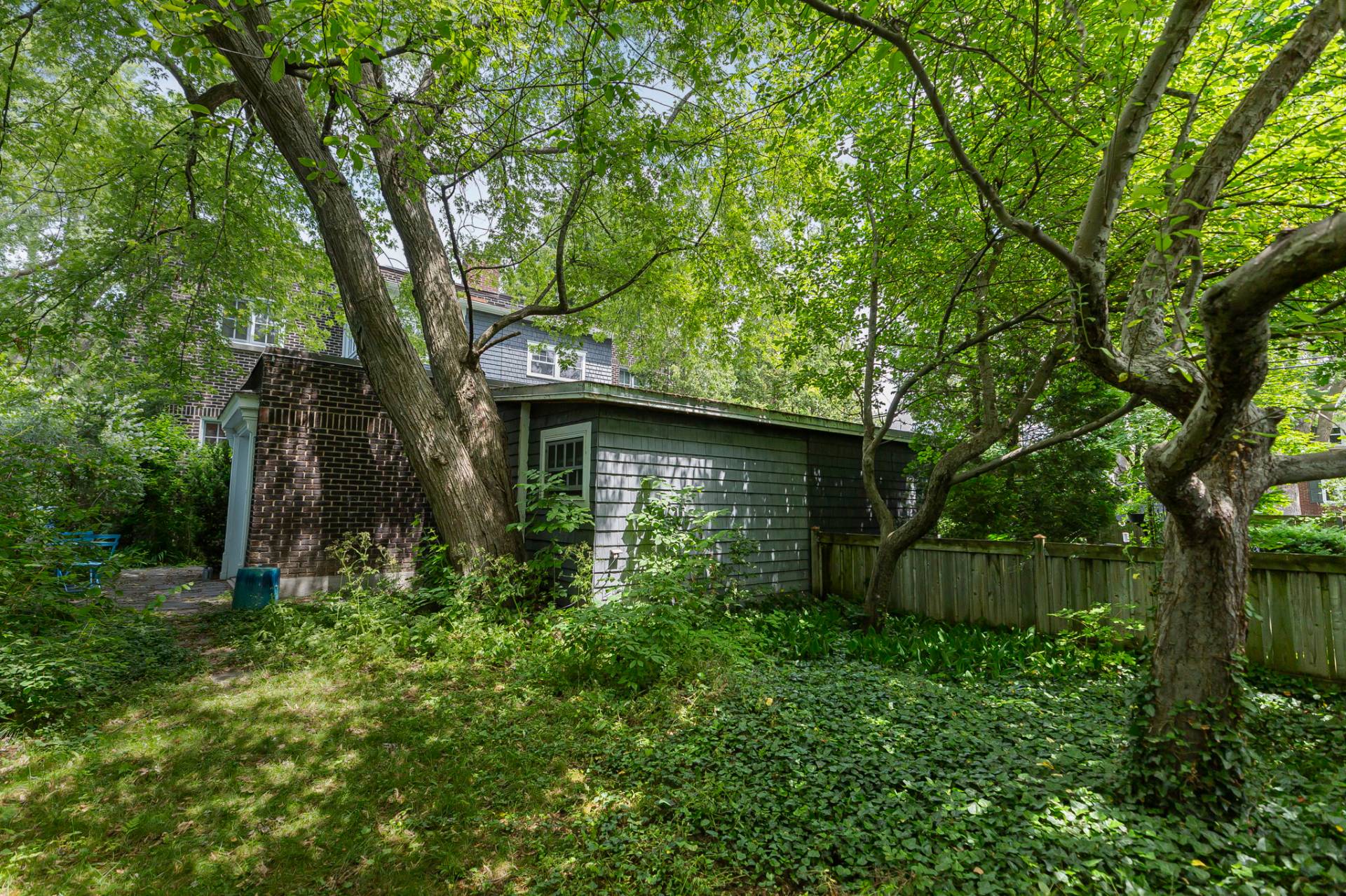 Backyard