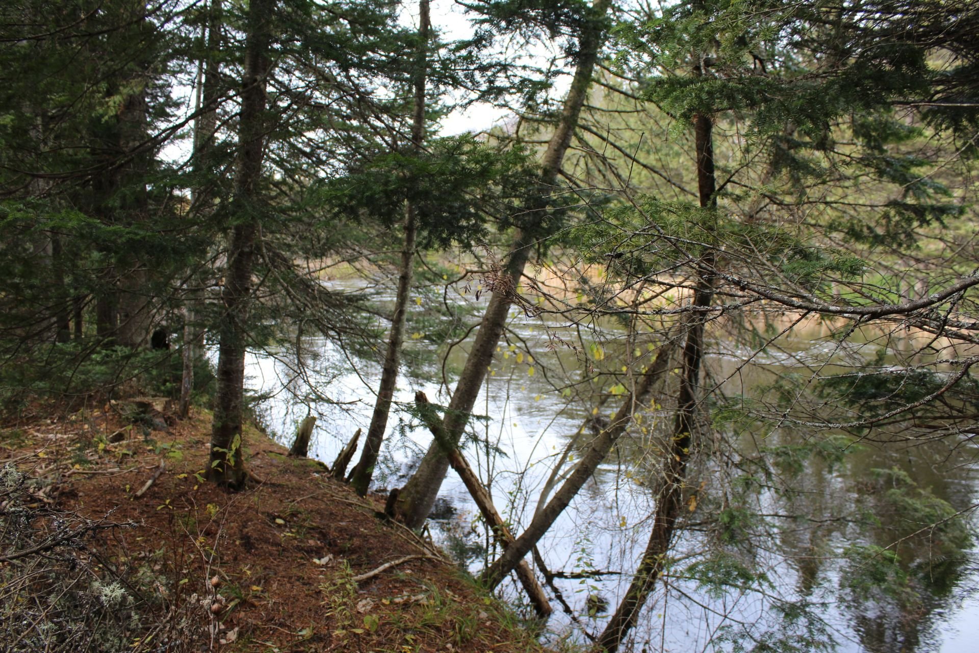 Bord de l'eau