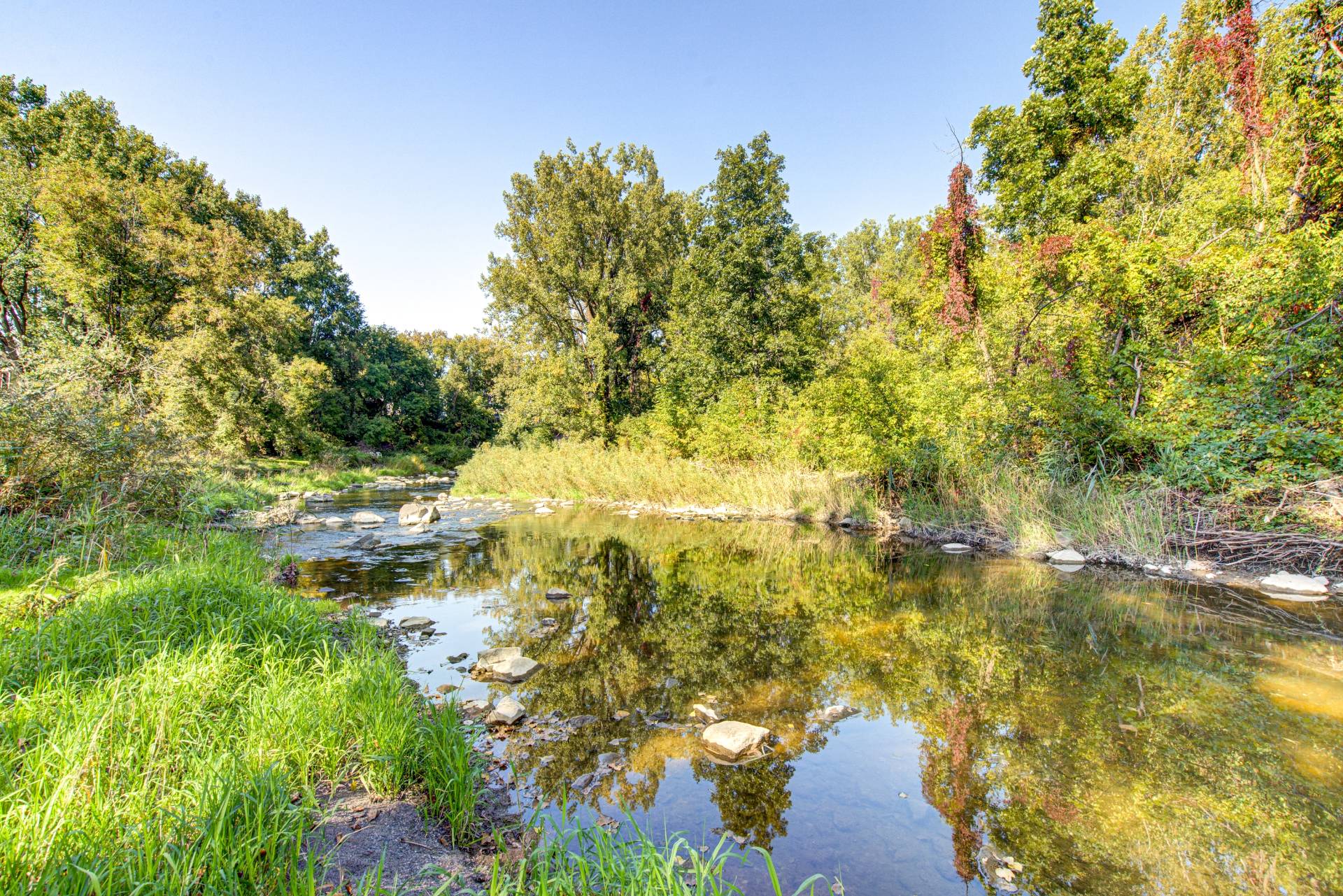 Photo - Accès au plan d'eau