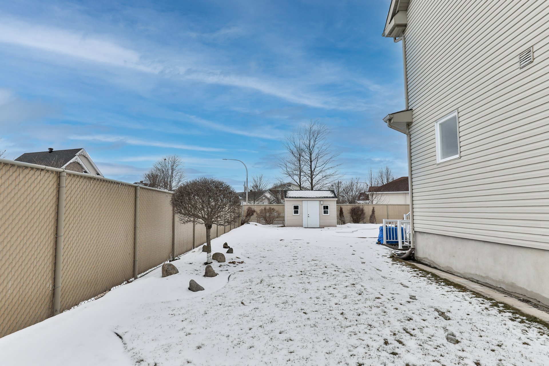 Backyard
