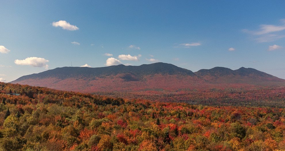 Vue