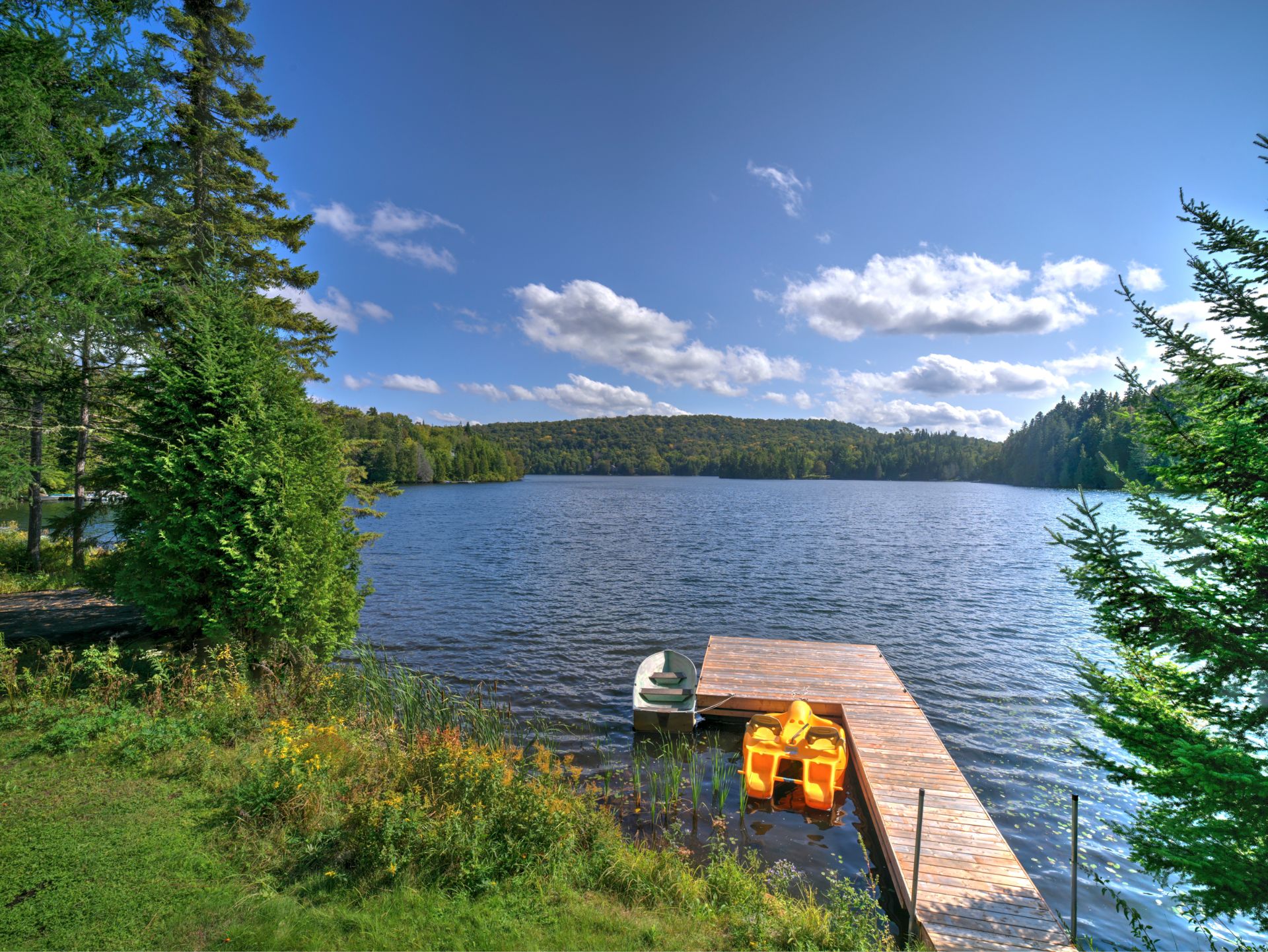 Photo - Bord de l'eau
