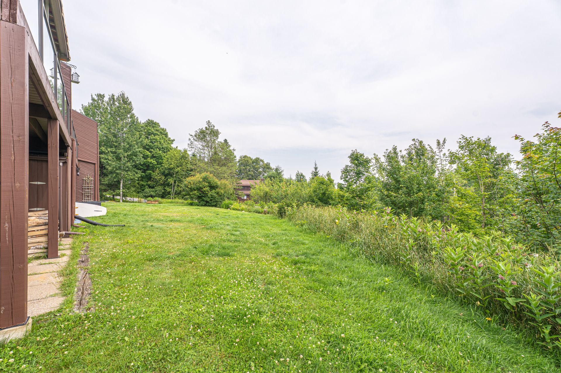 Photo - Backyard