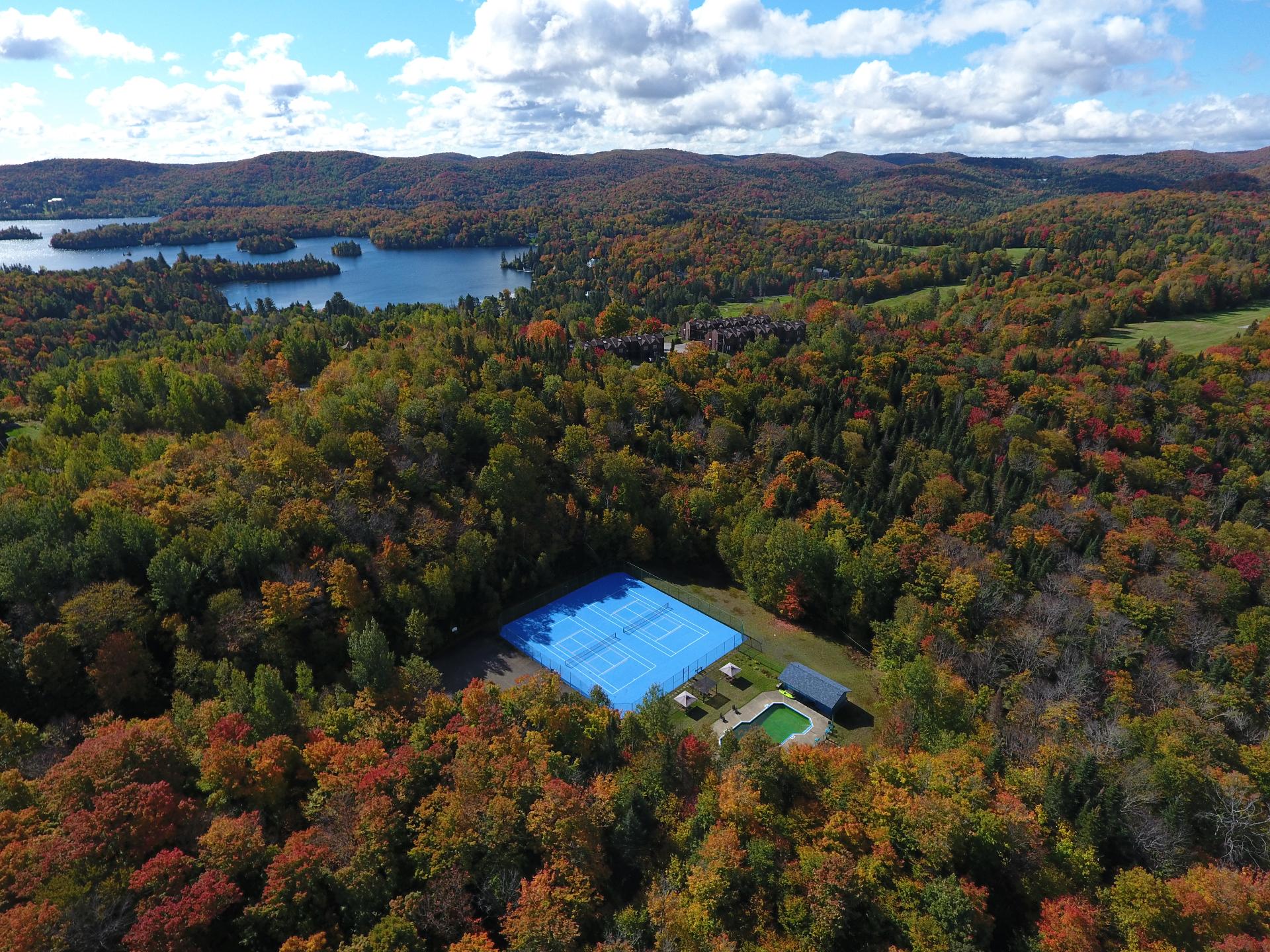 Photo - Aerial photo