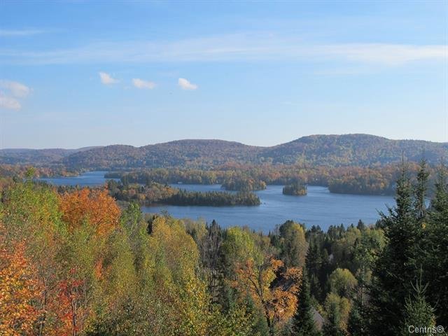 Photo - Aerial photo