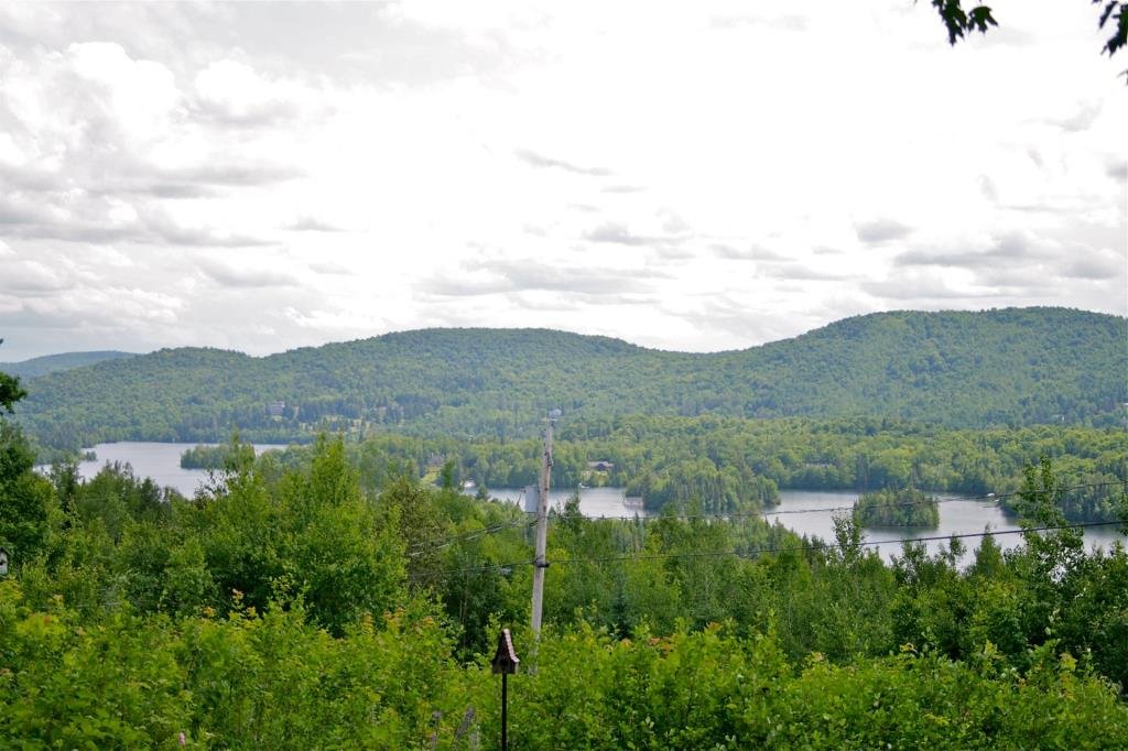 Photo - Aerial photo