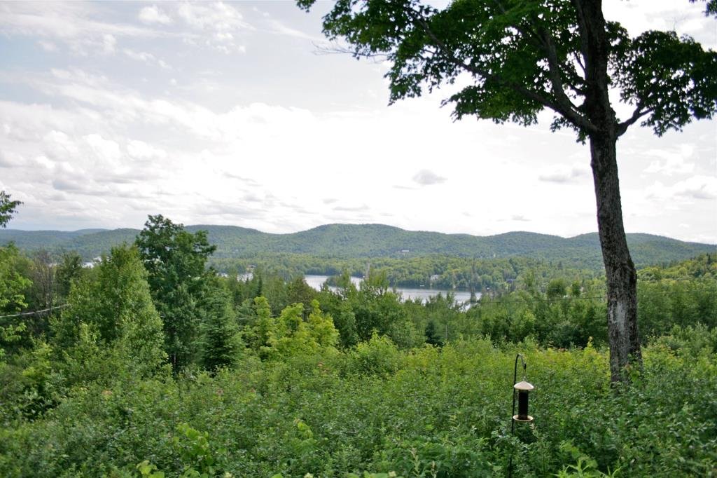 Photo - Aerial photo
