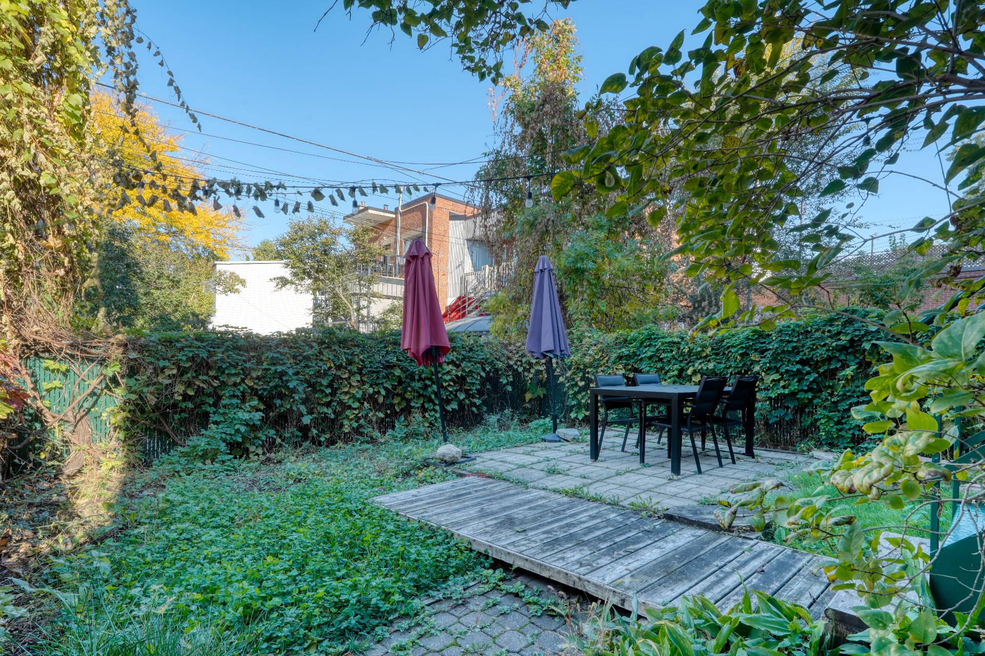 Backyard