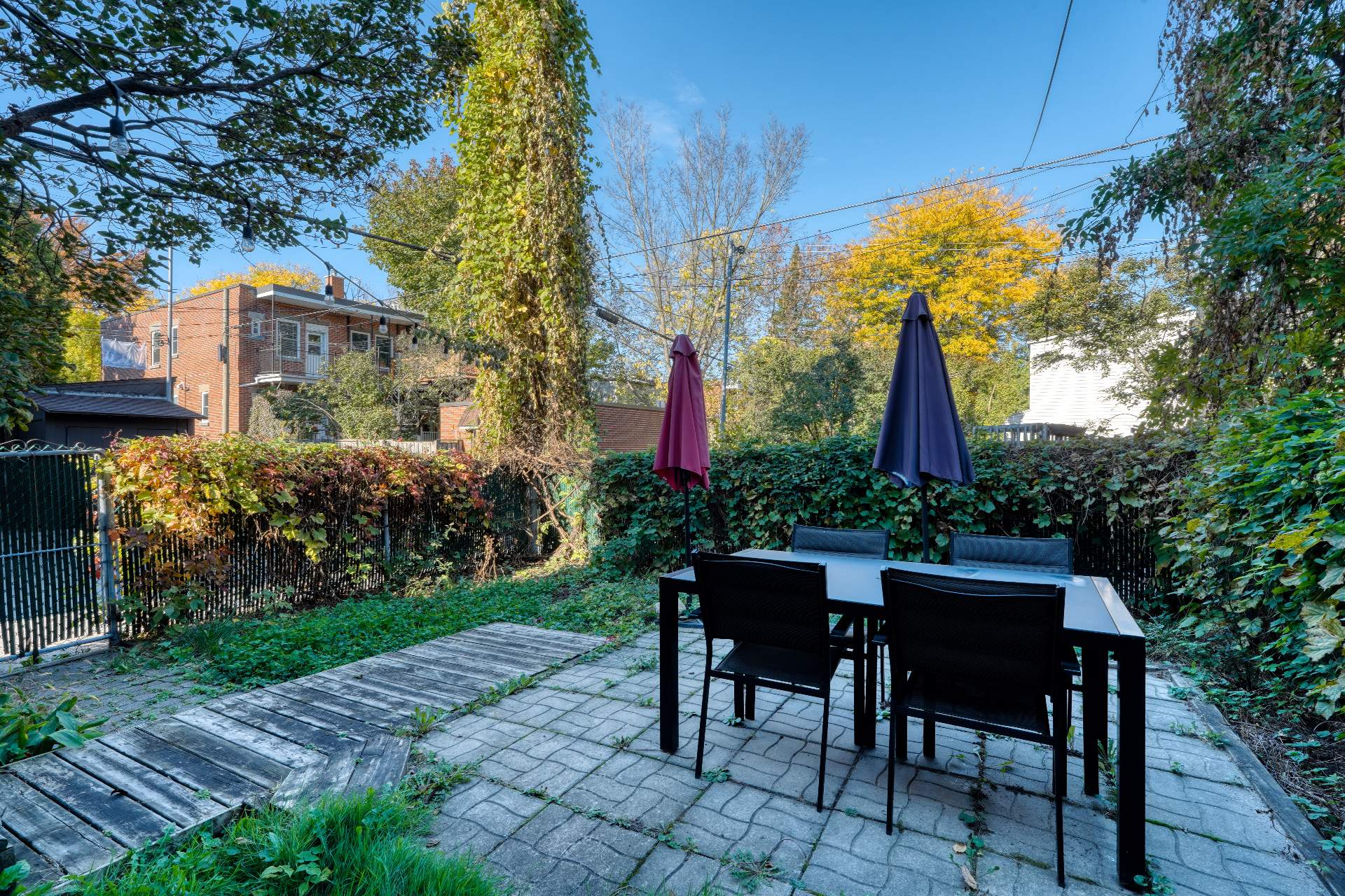 Backyard