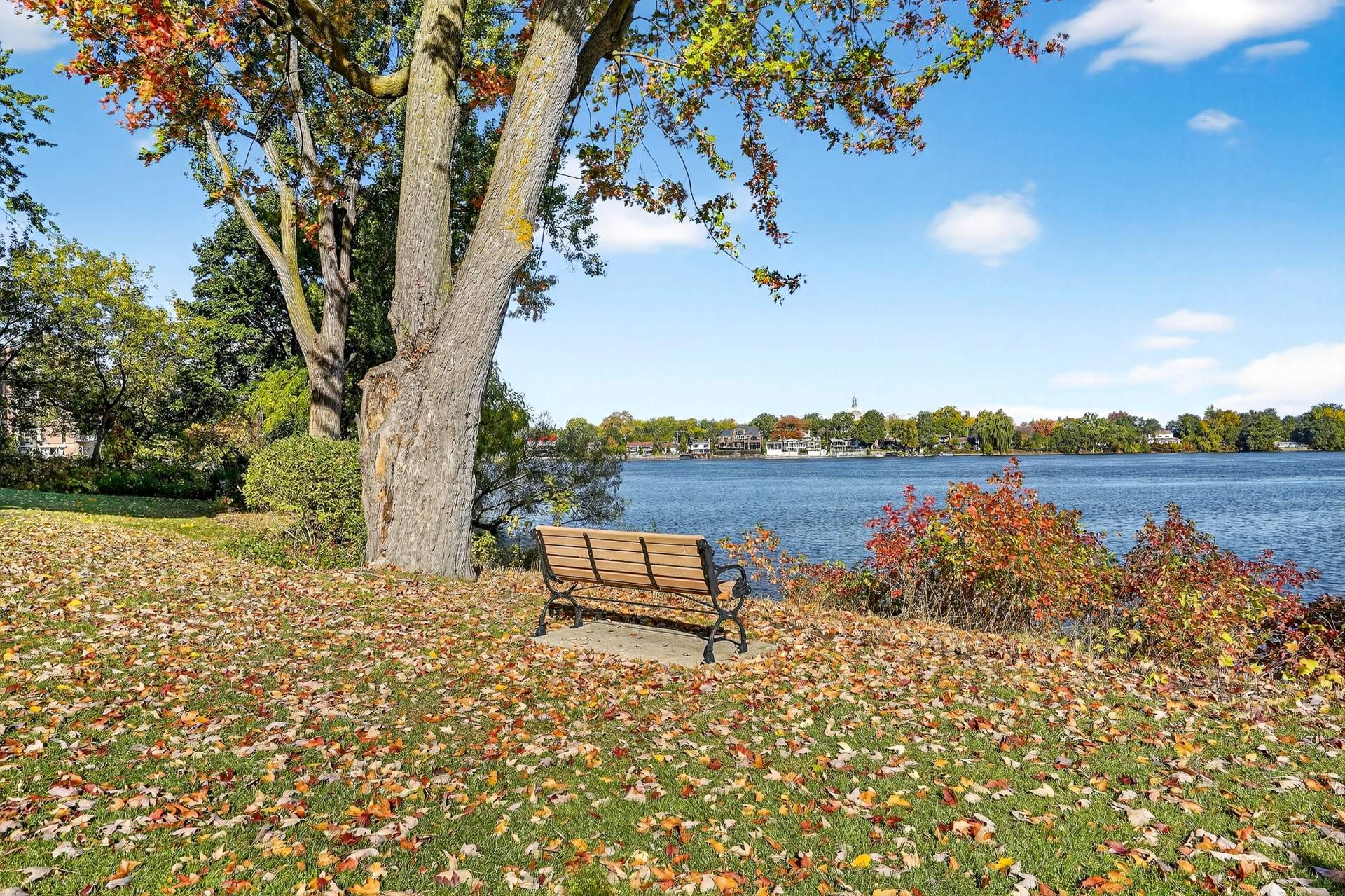 Photo - Bord de l'eau