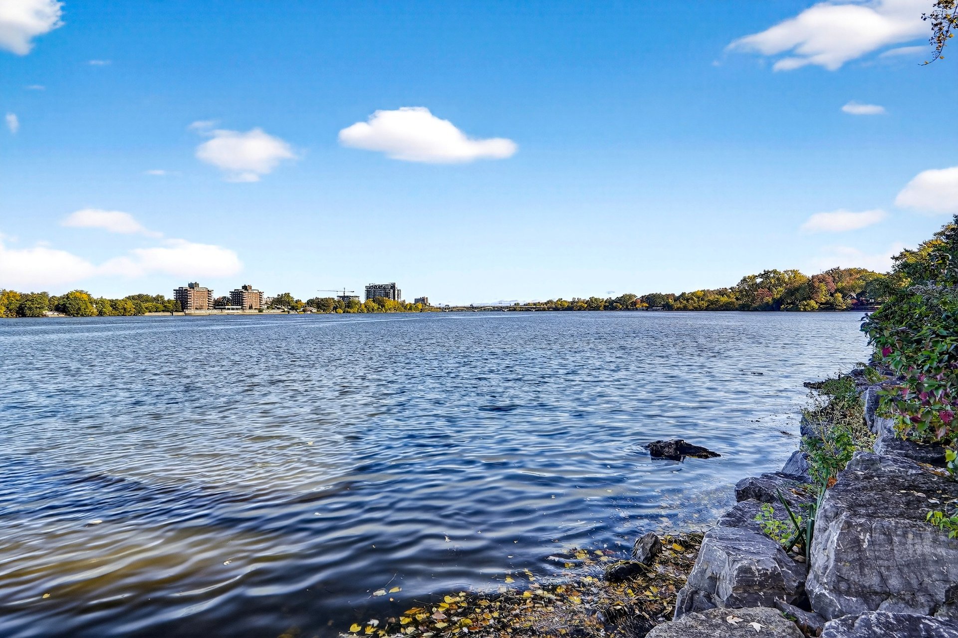 Photo - Bord de l'eau