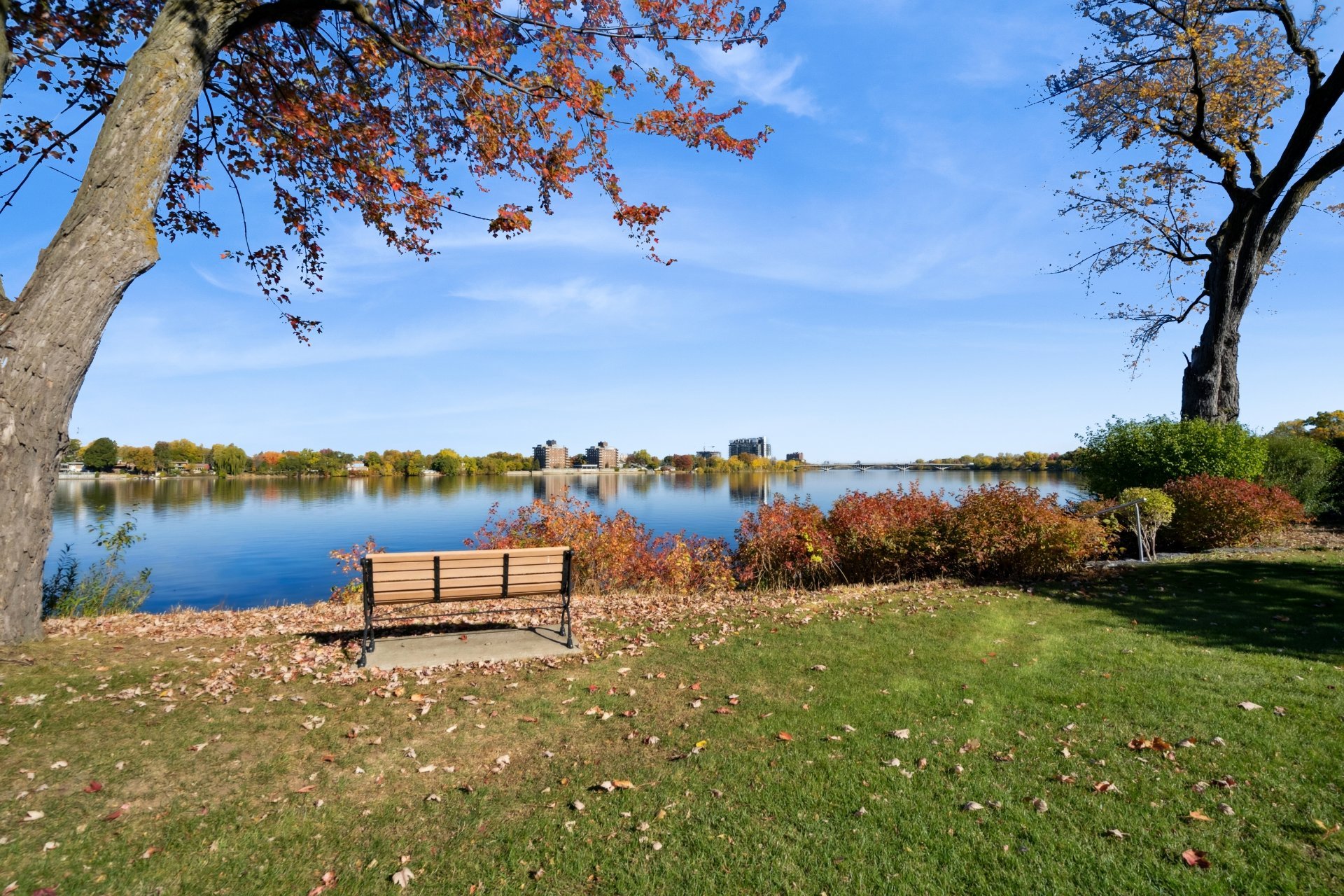 Photo - Bord de l'eau