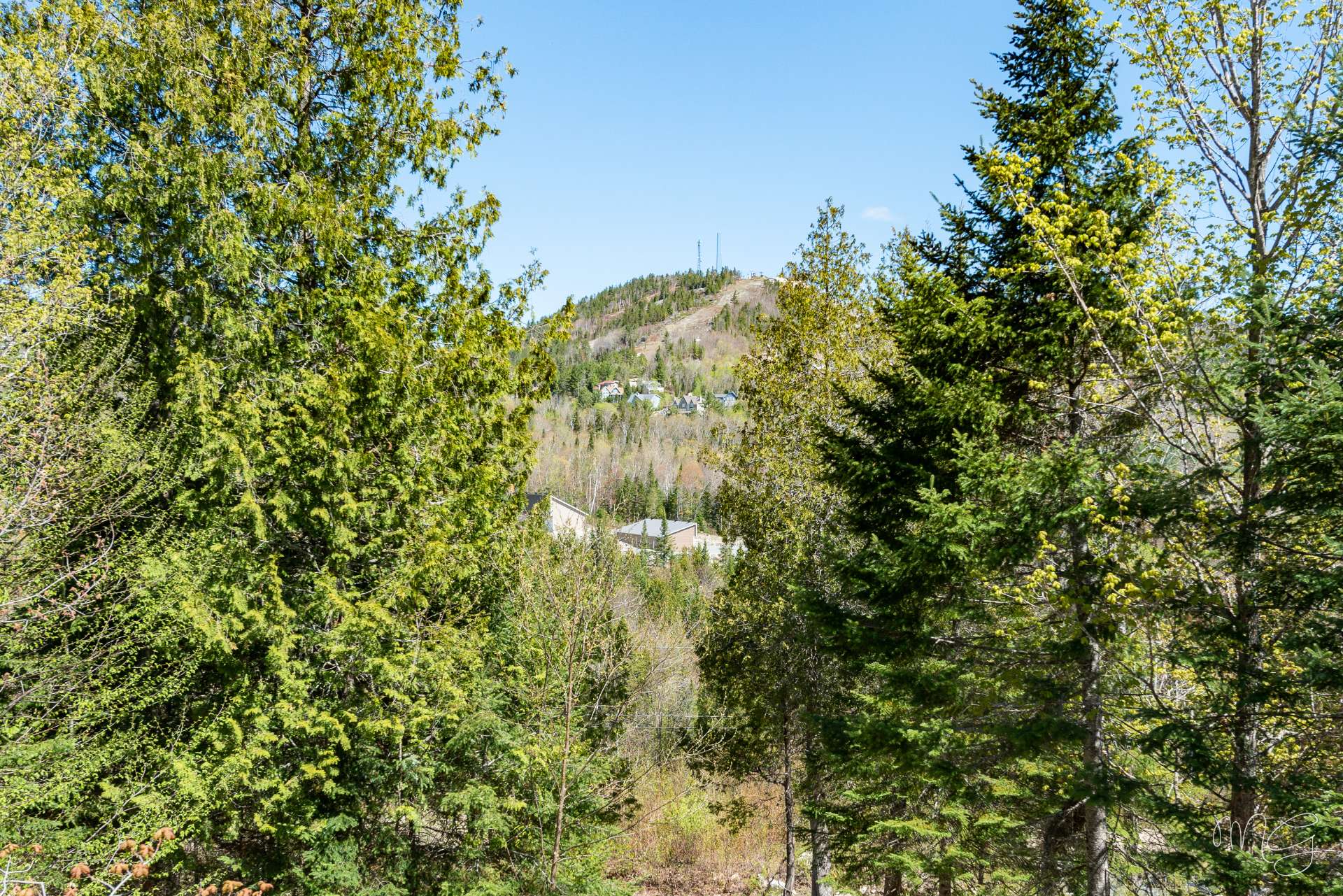 Photo - Vue