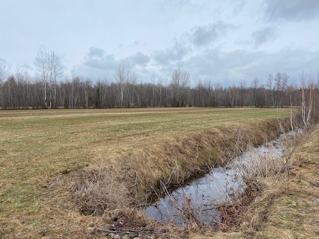Photo - Terre/Terrain