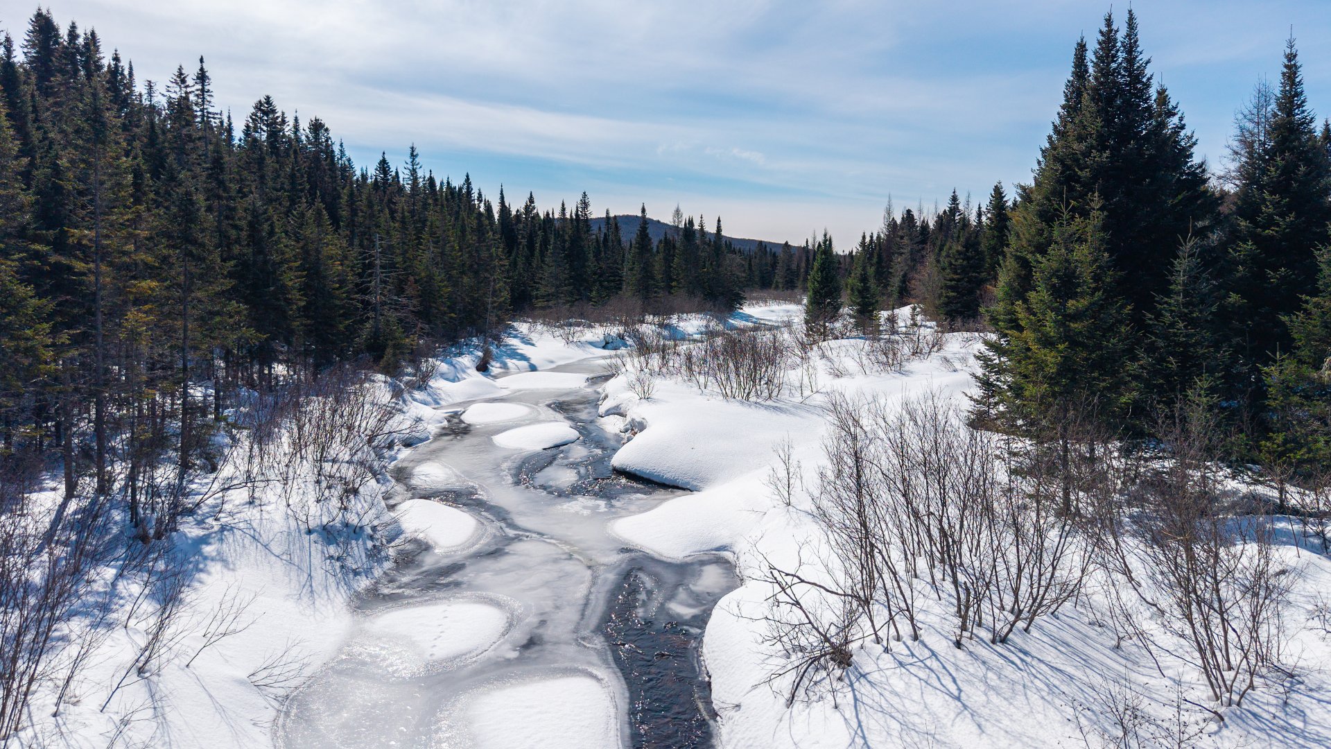 Accès au plan d'eau