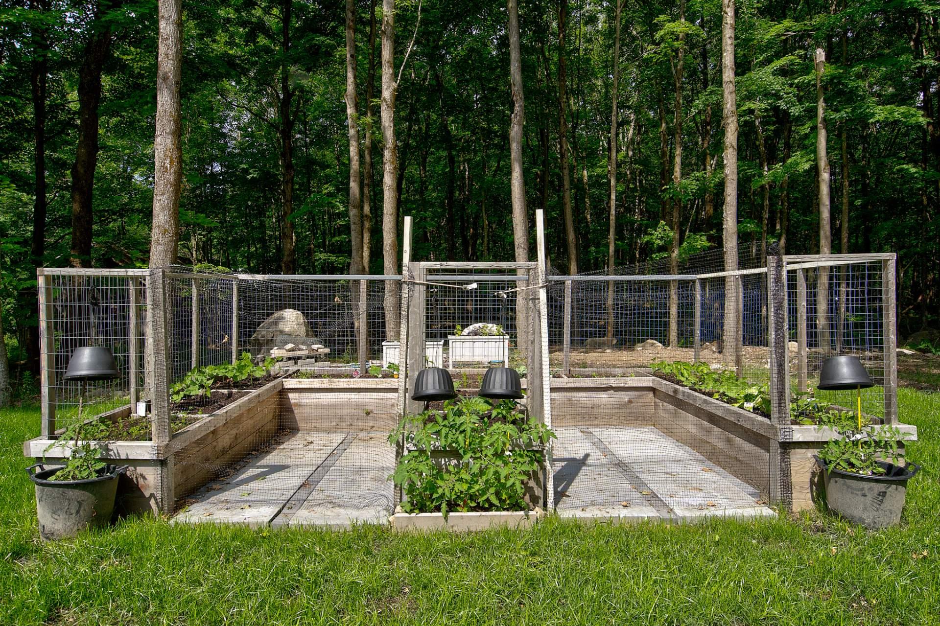 Jardin