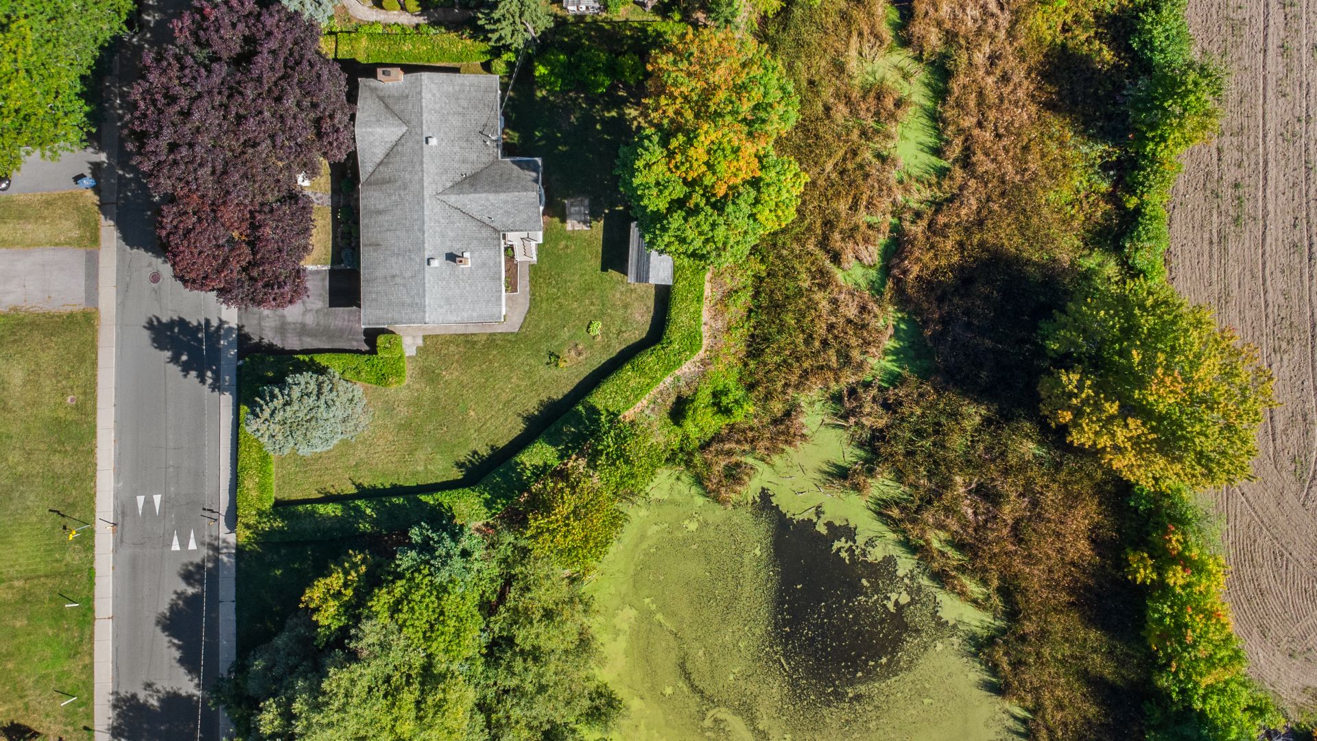 Photo - Photo aérienne