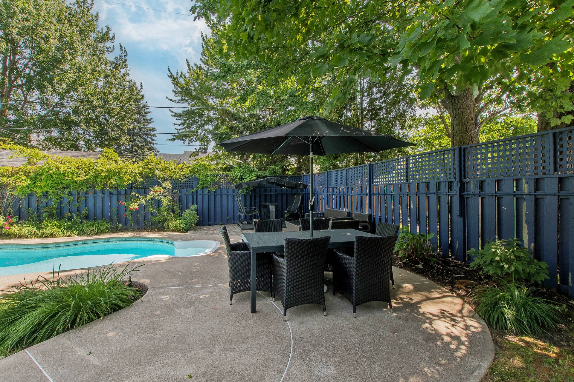 Backyard