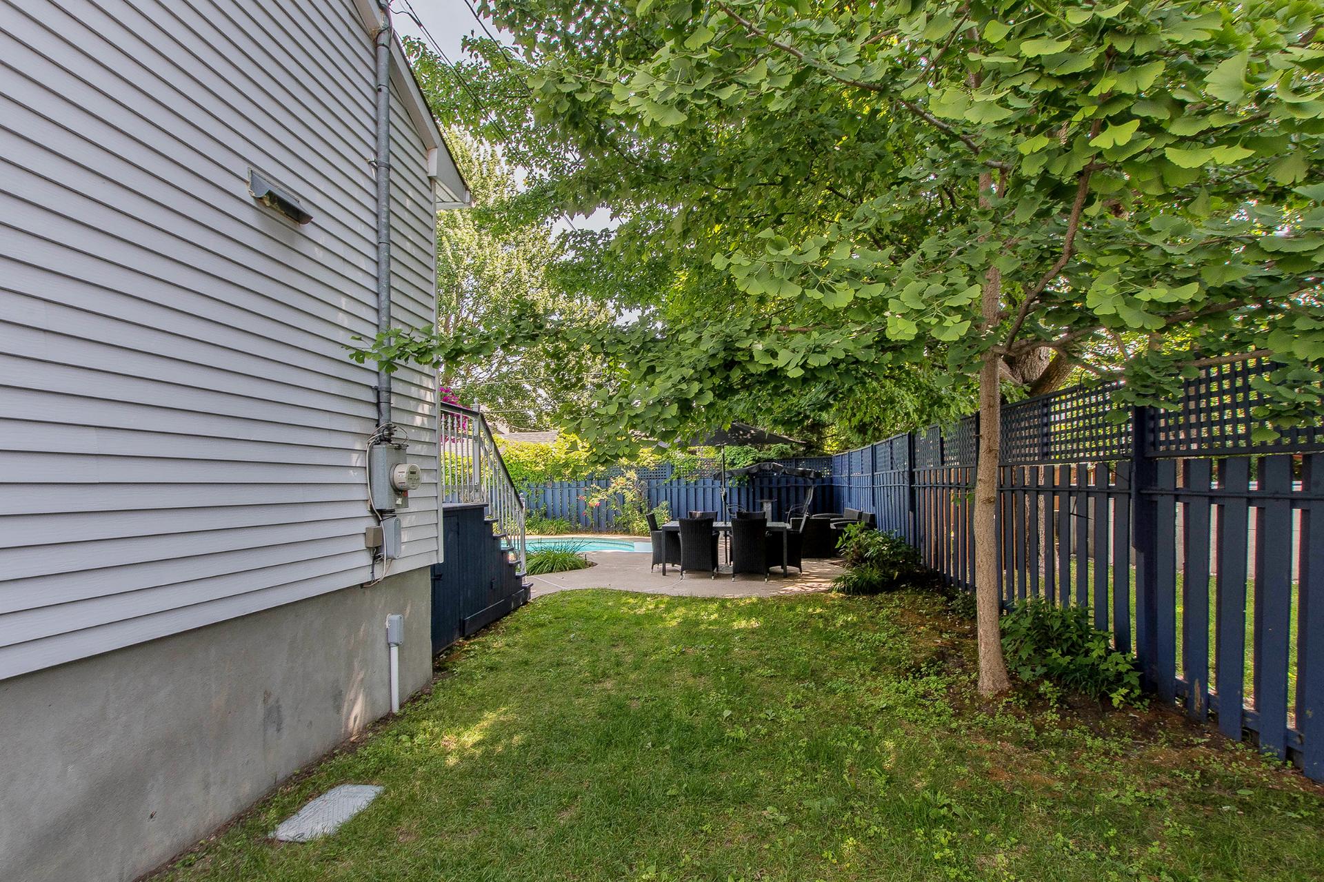 Backyard
