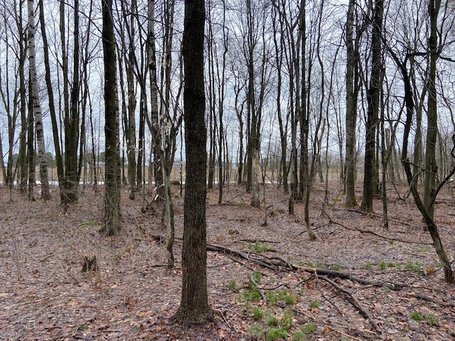 Photo - Terre/Terrain