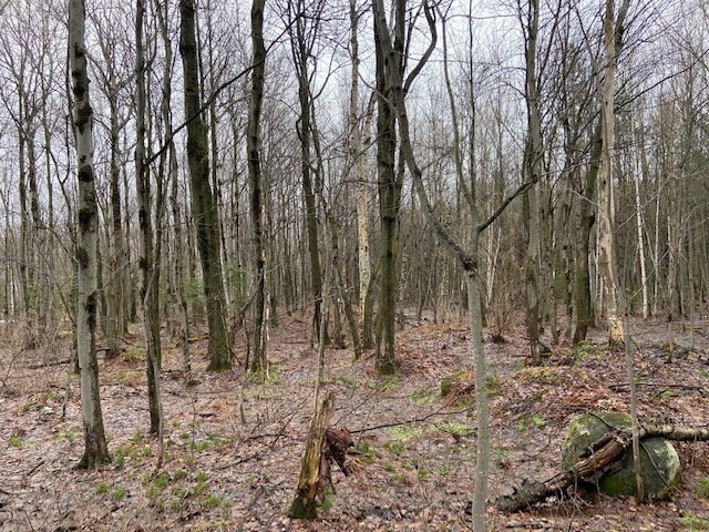 Photo - Terre/Terrain