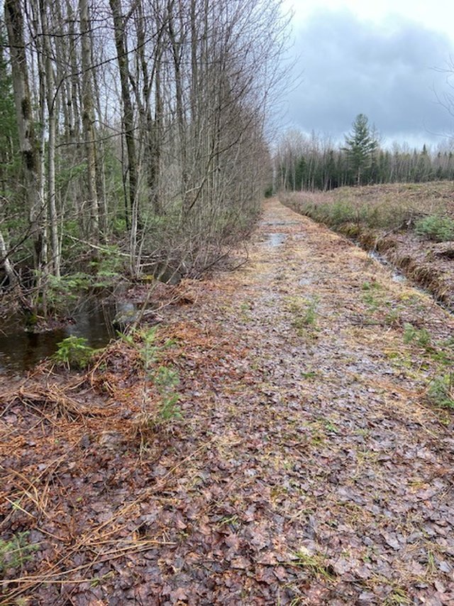 Photo - Terre/Terrain