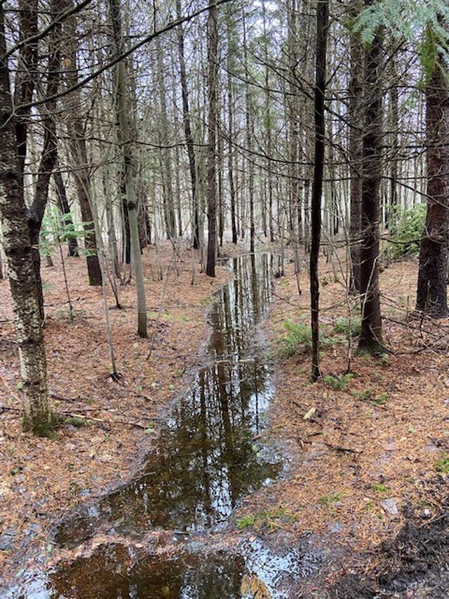 Photo - Terre/Terrain